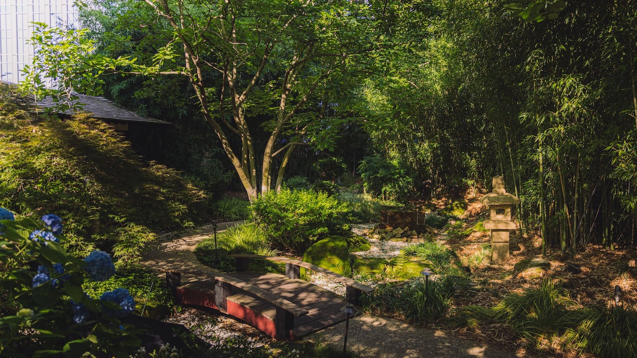 Lush Empty Zen Garden