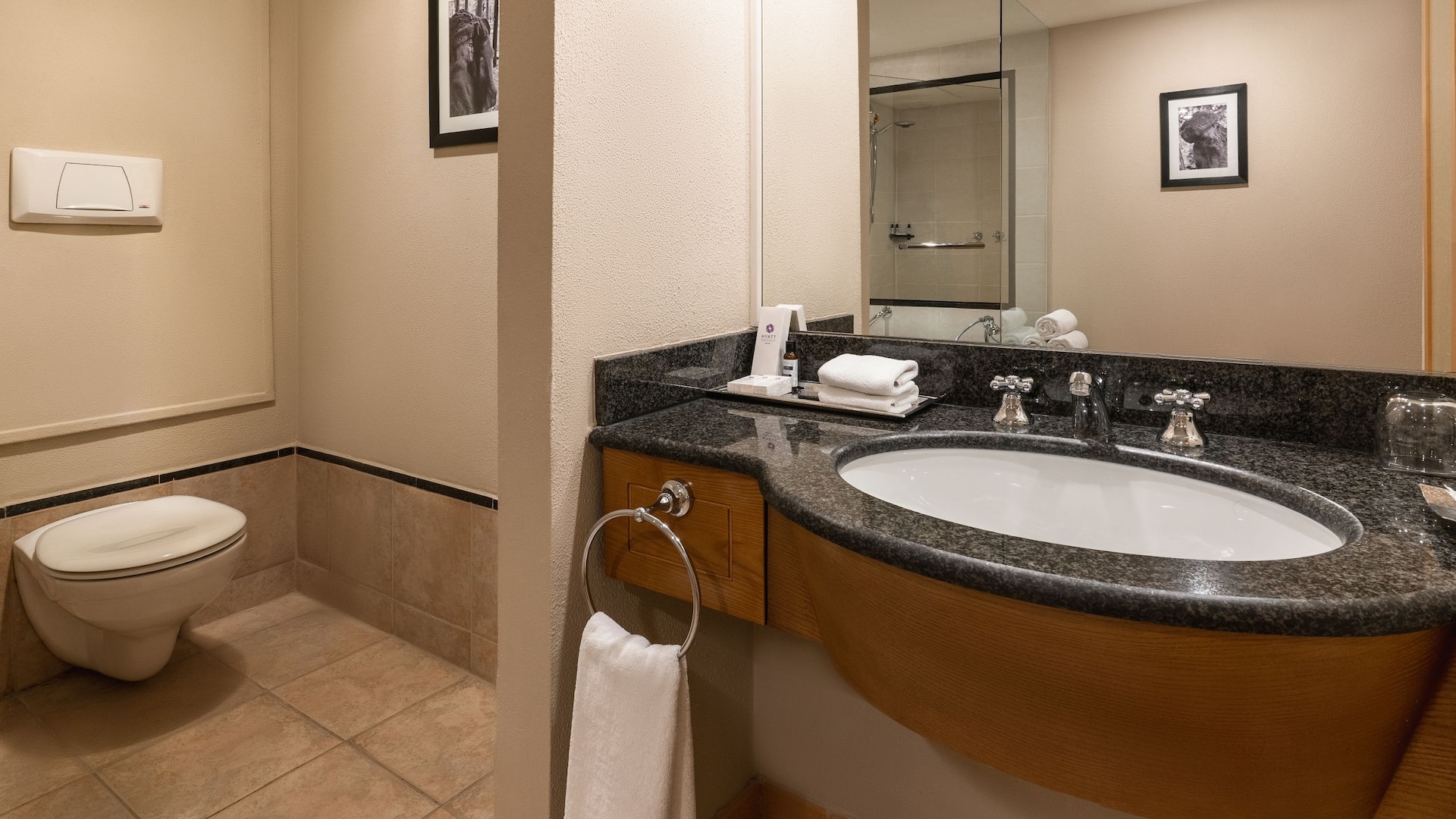Hyatt Regency Bishkek Bathroom Sink