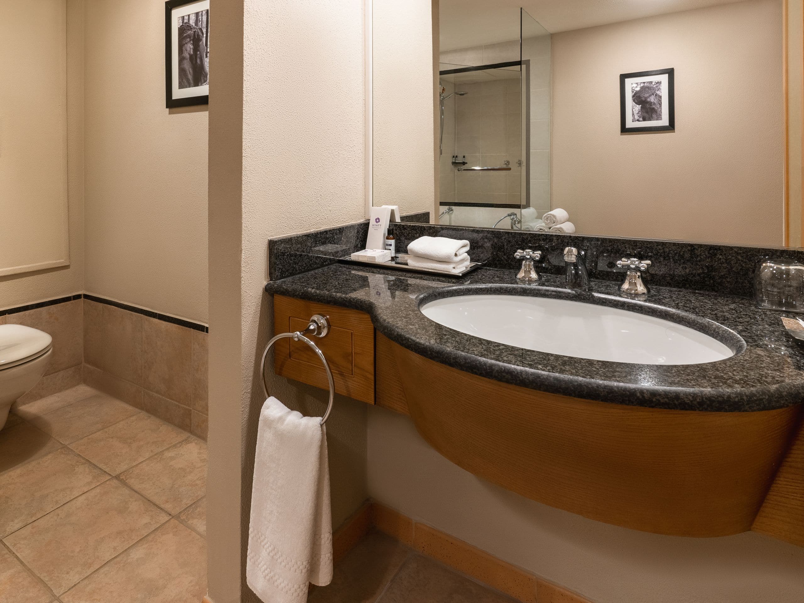Hyatt Regency Bishkek BATHROOM-SINK