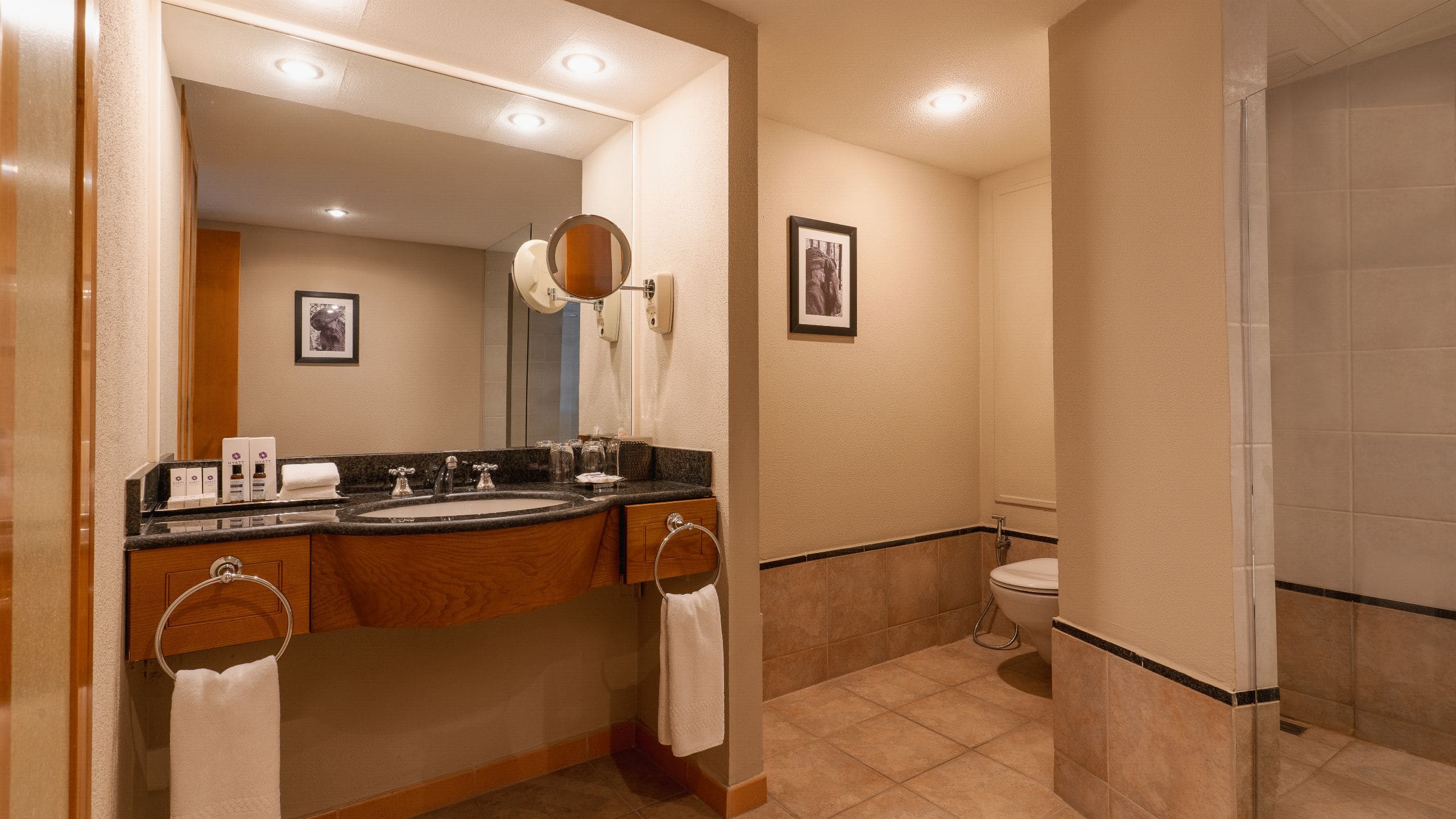 Hyatt Regency Bishkek Bathroom Overview
