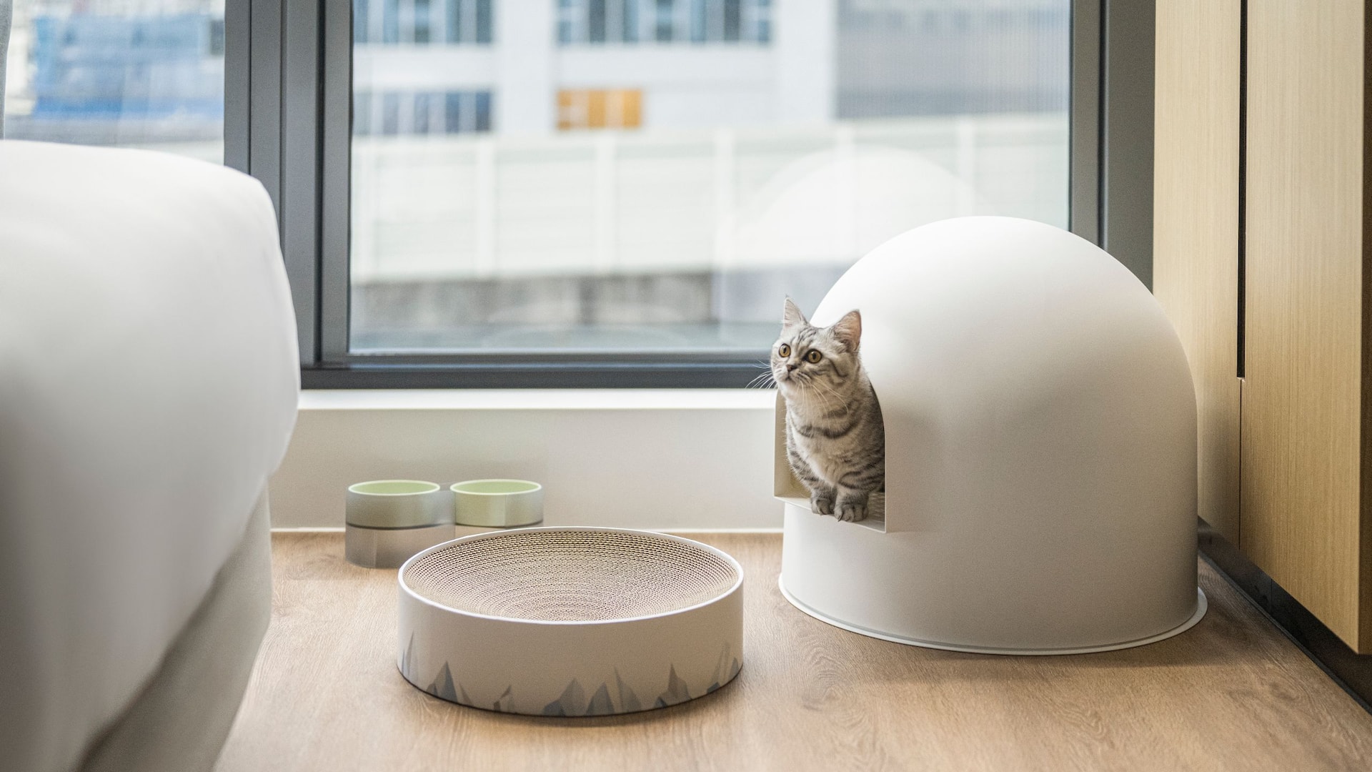 1/4 Hyatt Place New Taipei City Xinzhuang Cat Bed