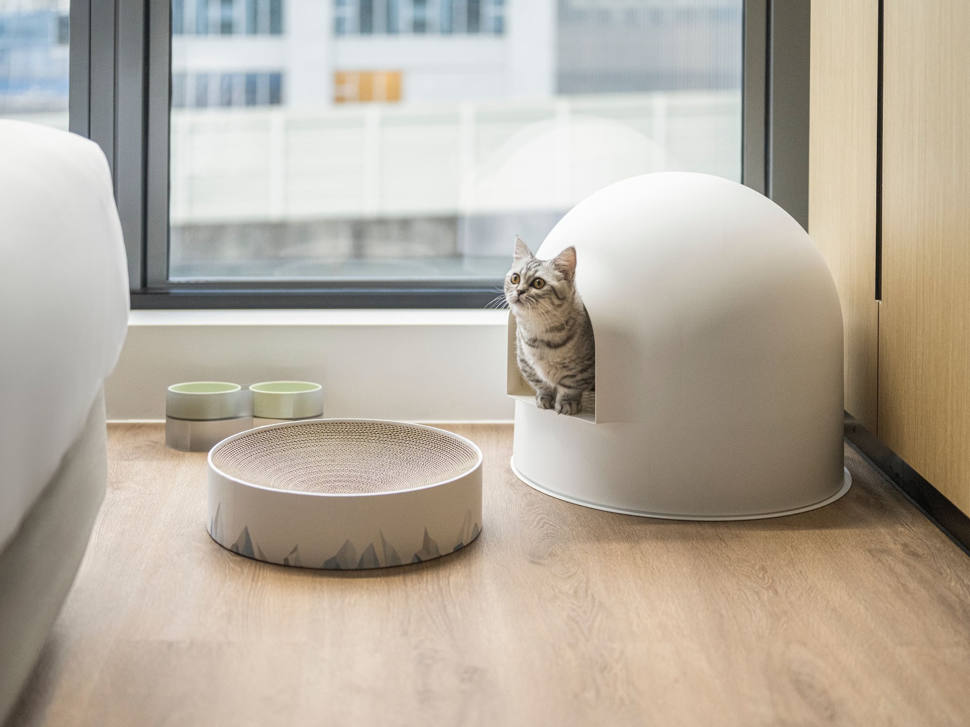 Hyatt Place New Taipei City Xinzhuang Cat Bed