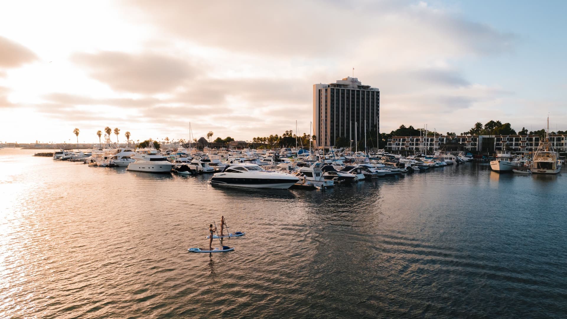 Hyatt Regency Mission Bay Spa and Marina Marina Stand Up Paddle Boards