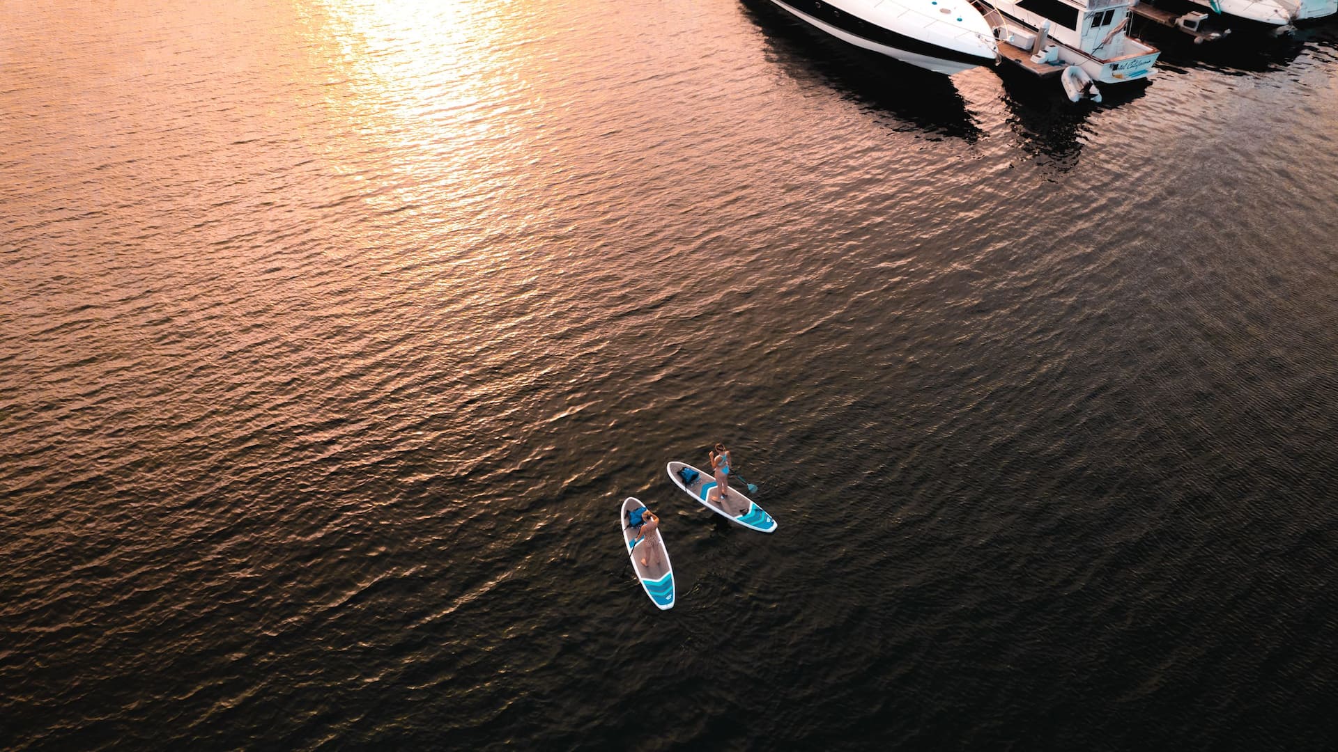 Hyatt Regency Mission Bay Spa and Marina Stand Up Paddle Boards