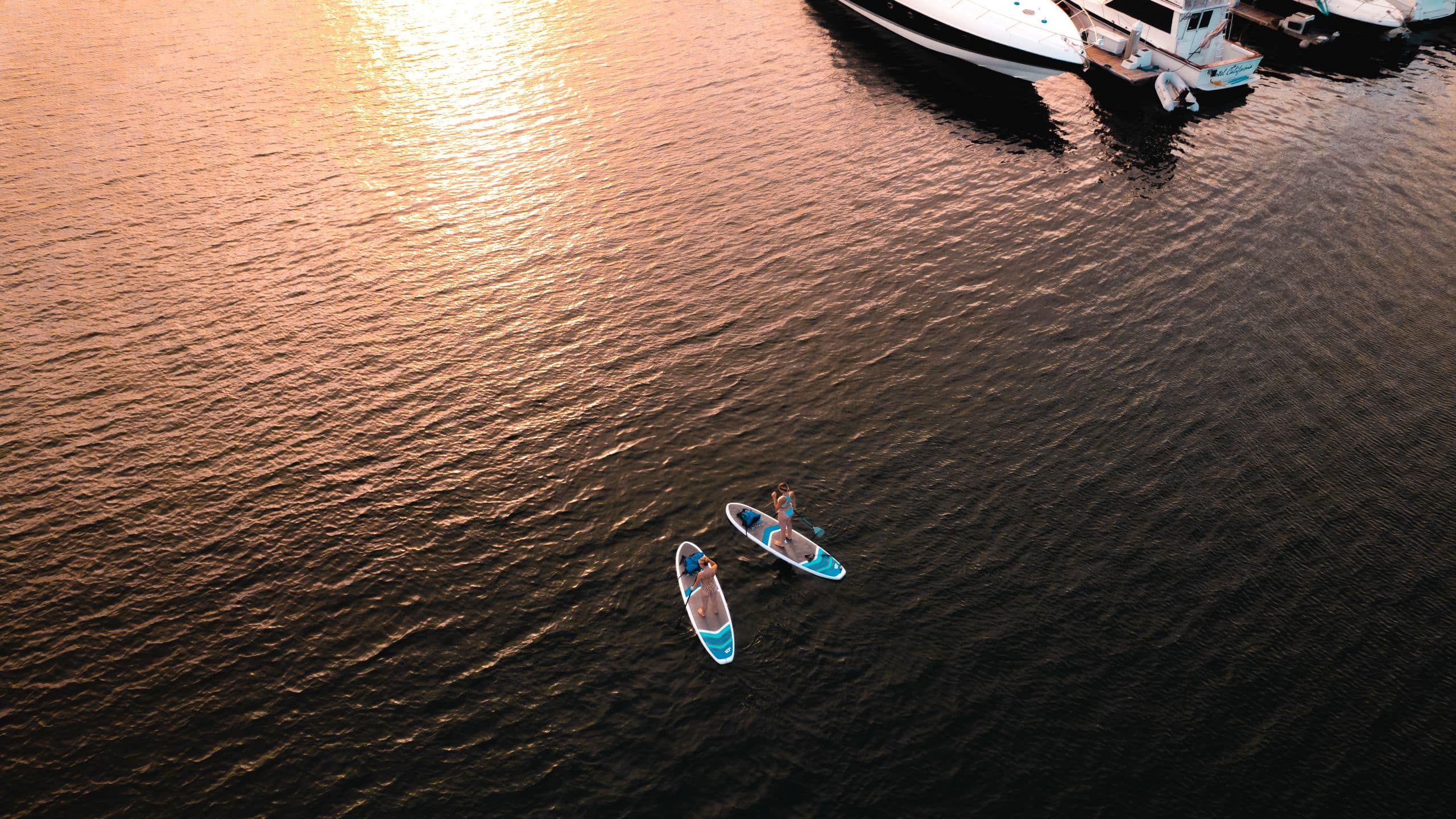 Hyatt Regency Mission Bay Spa and Marina Stand Up Paddle Boards