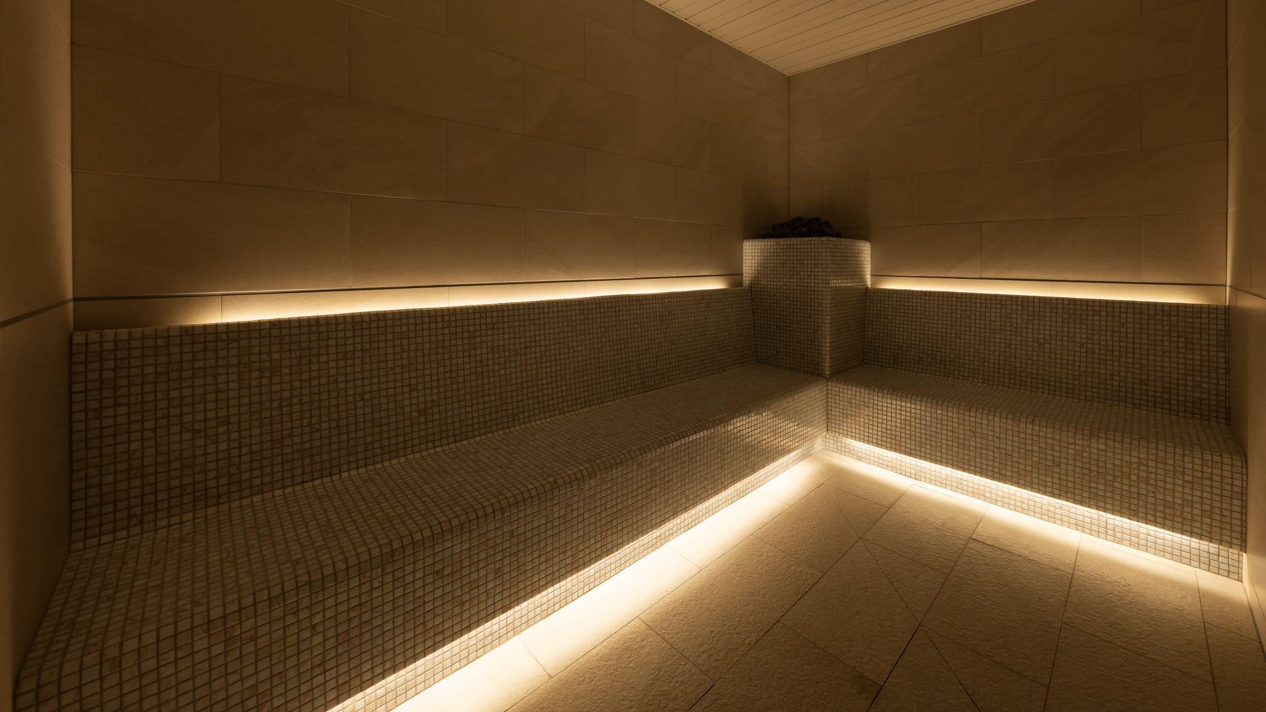 Fuji Speedway Hotel Sauna