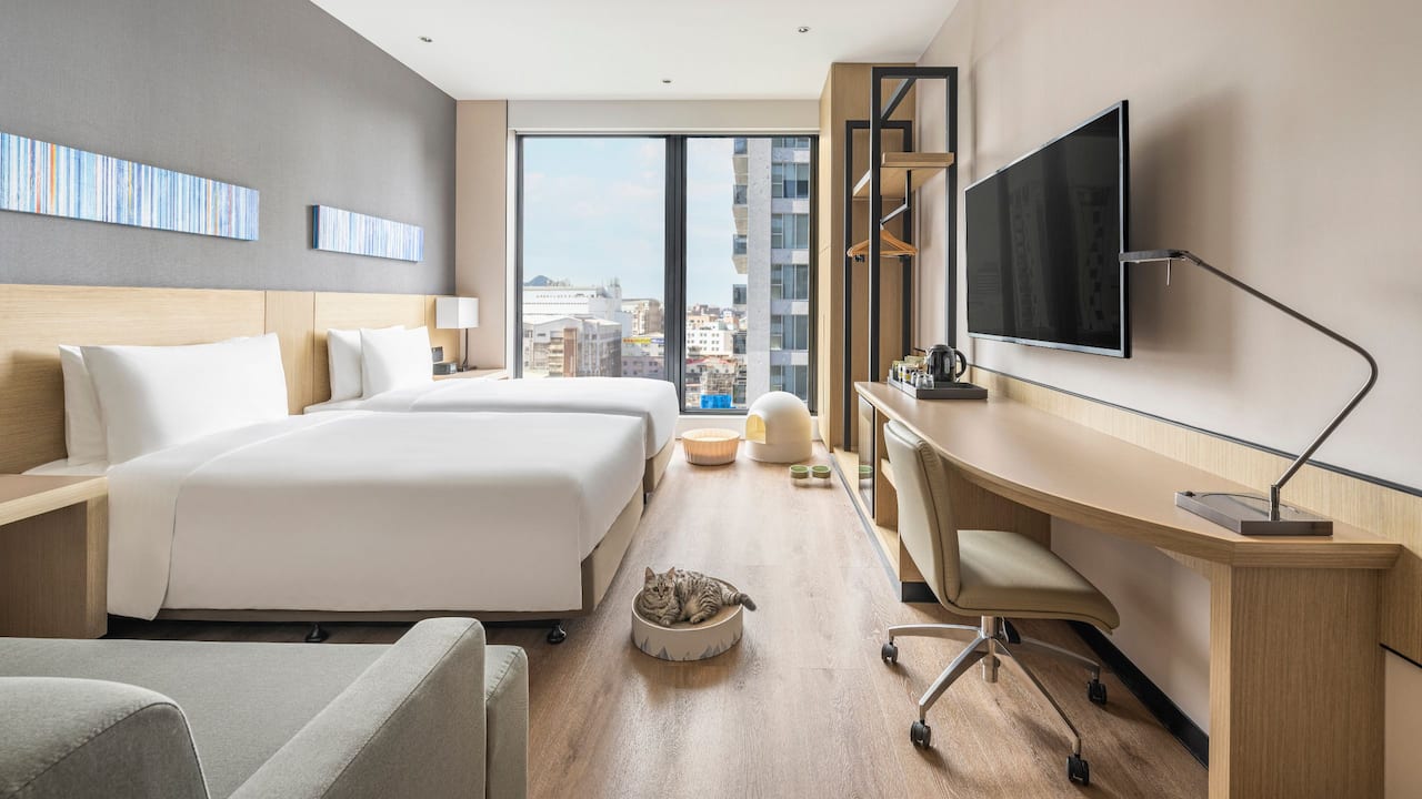 Standard Twin Cat Guestroom