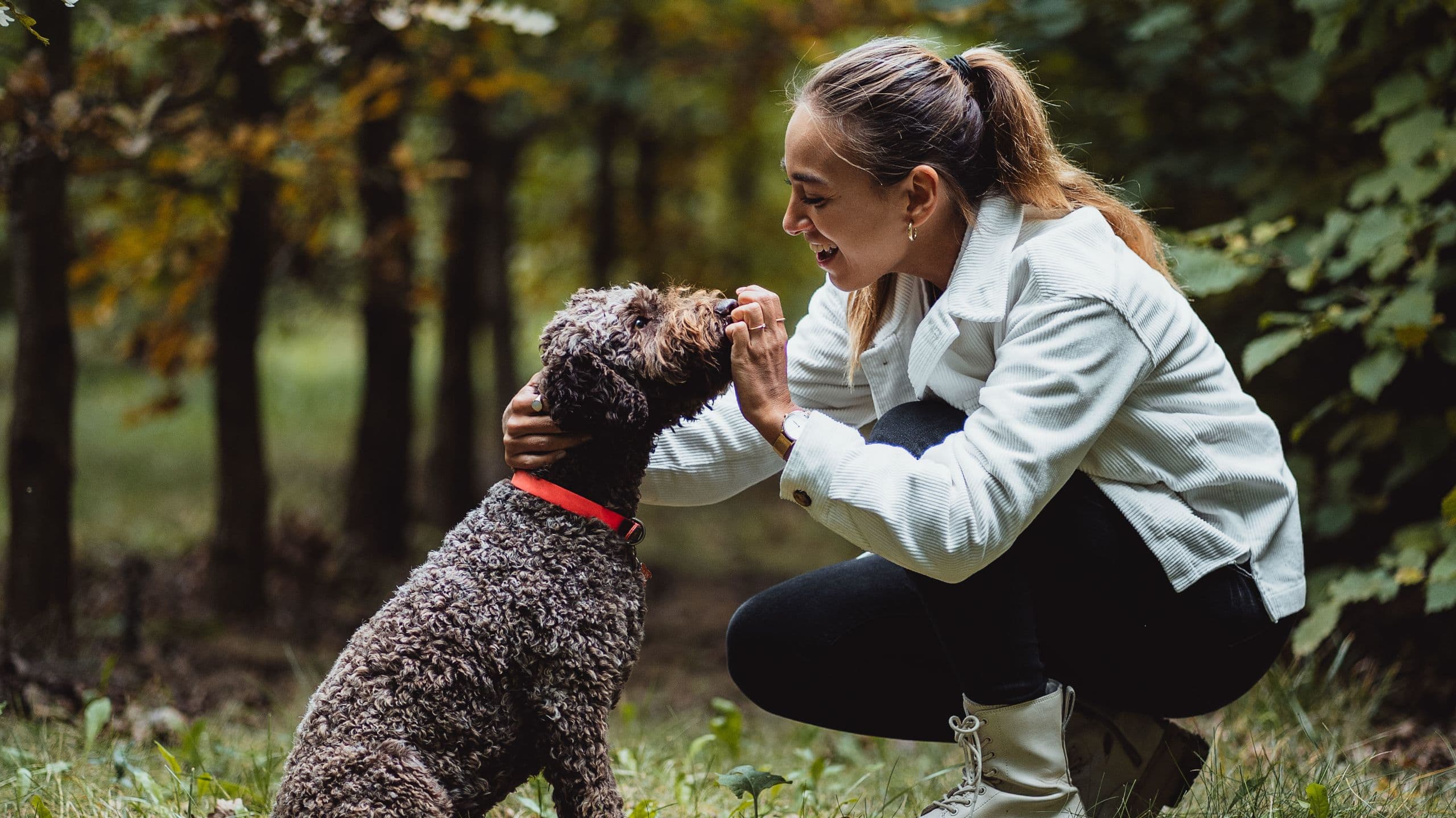 Párisi Udvar Hotel Budapest Find Experience