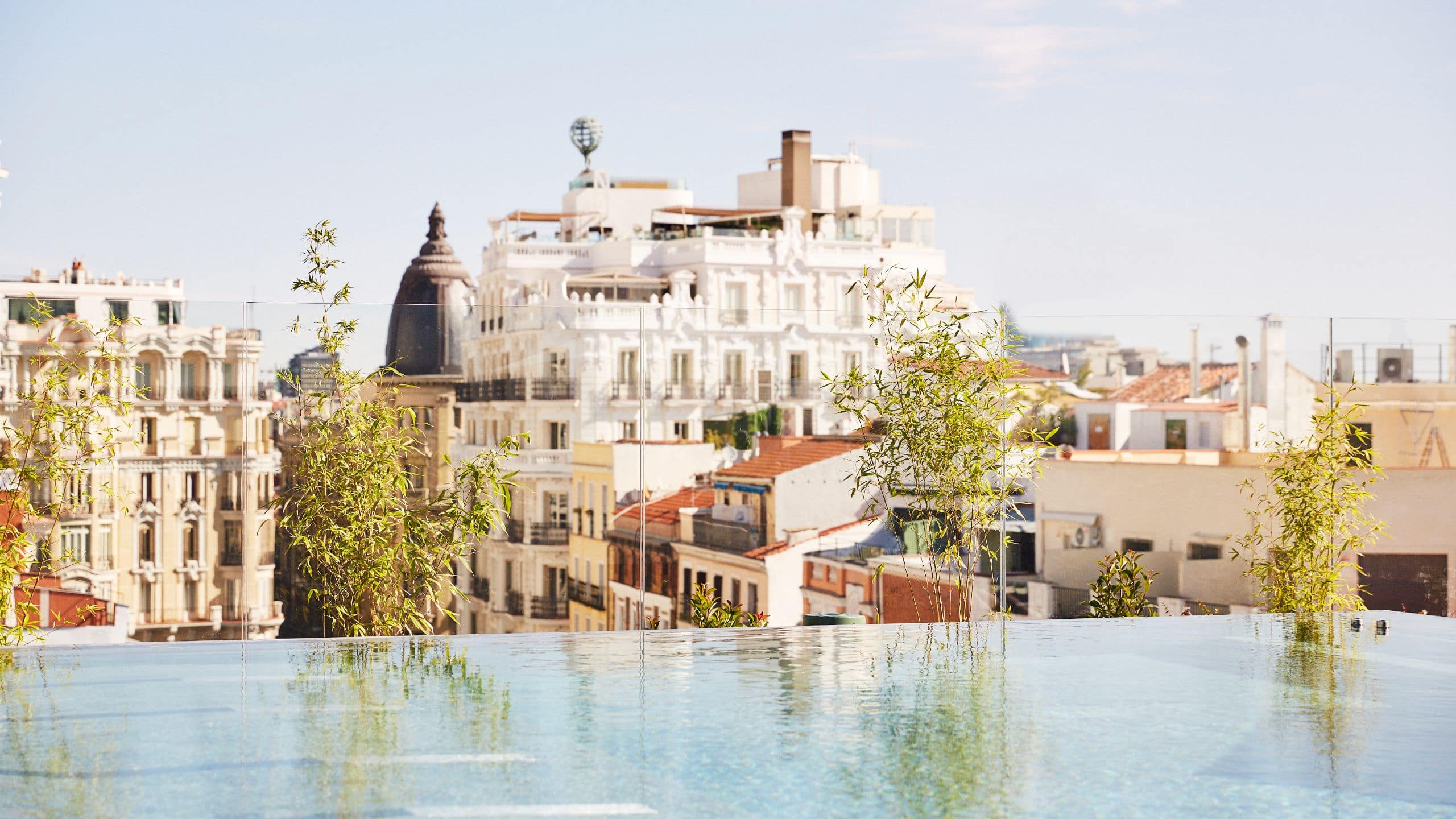 Thompson Madrid Rooftop Pool View