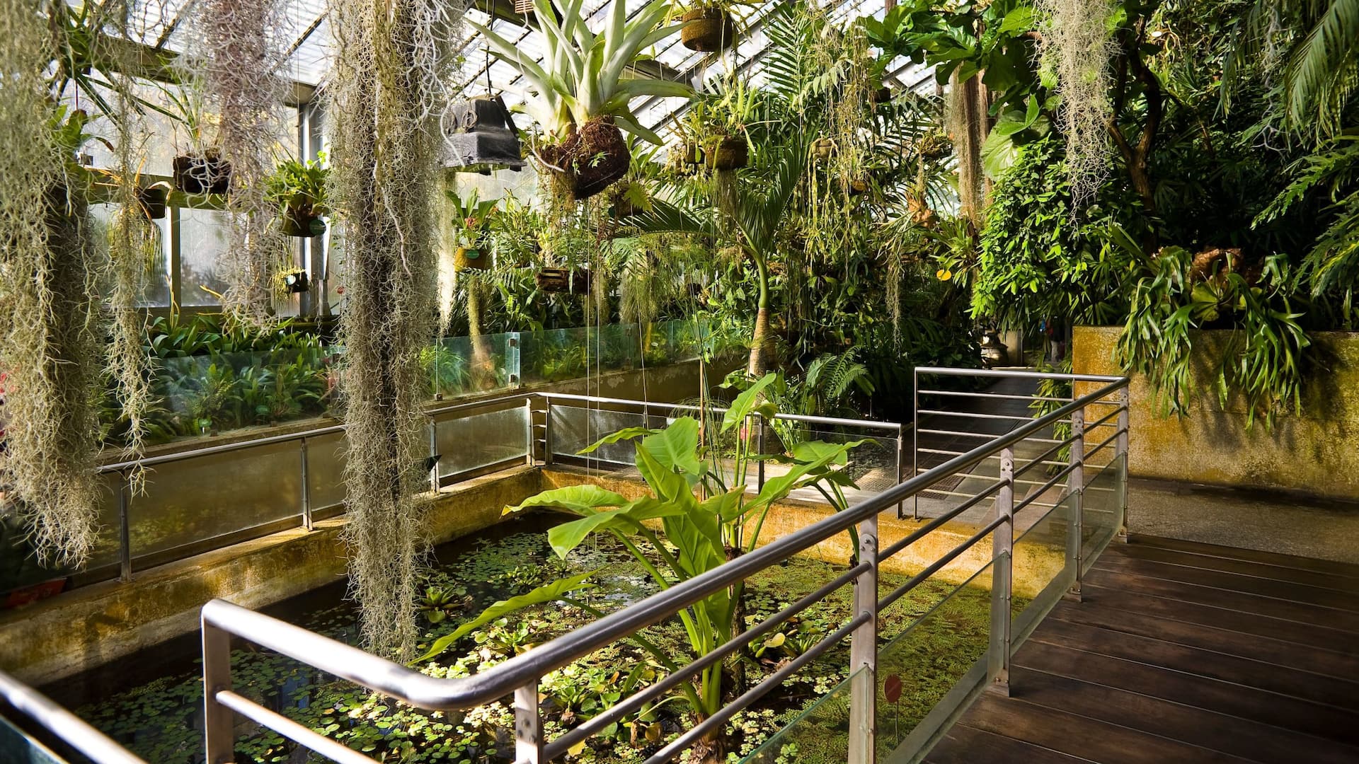 Hyatt Regency Hesperia Madrid Jardin Botanico Plants