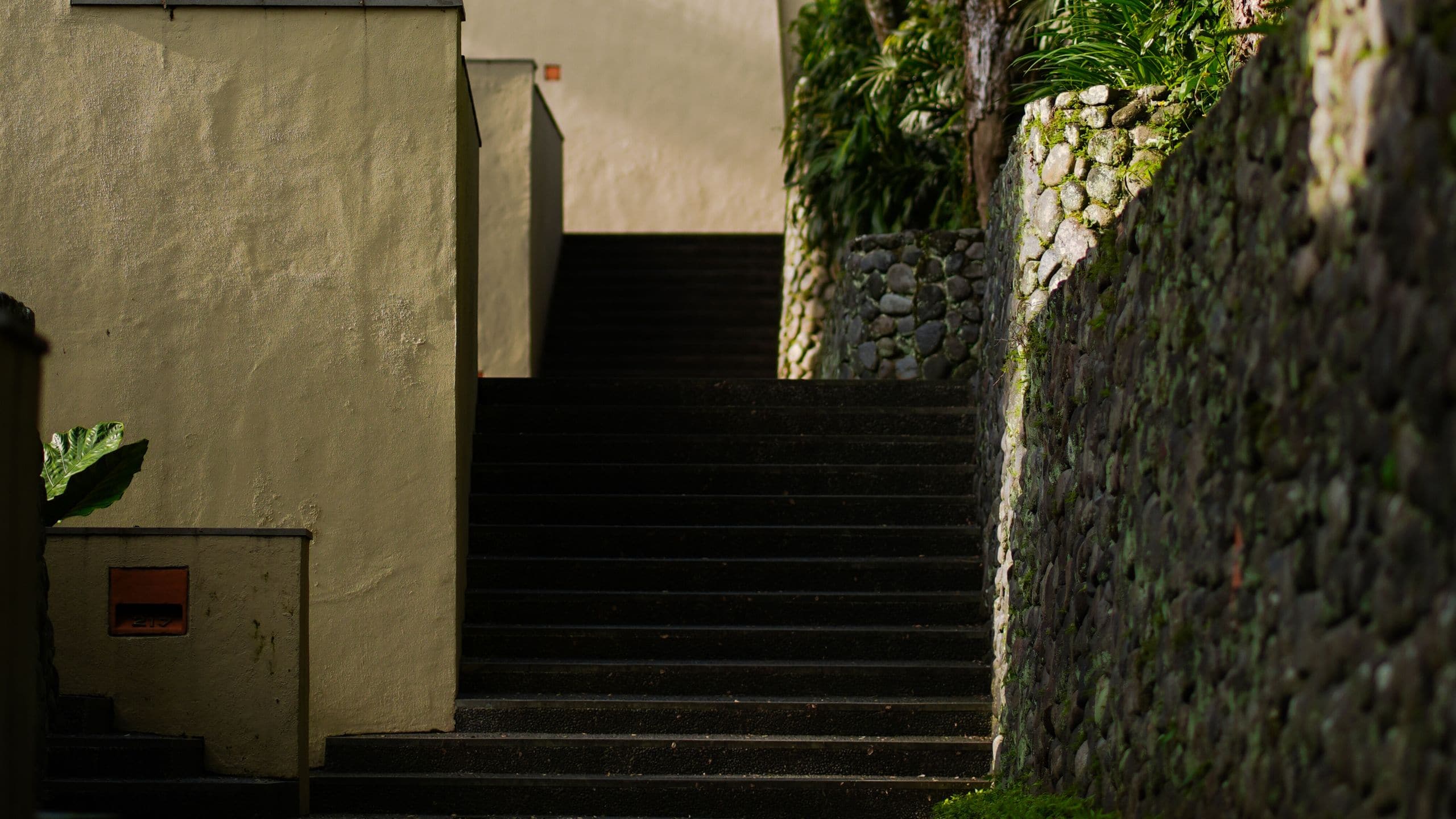 第 3，共 4 Alila Ubud Pathway