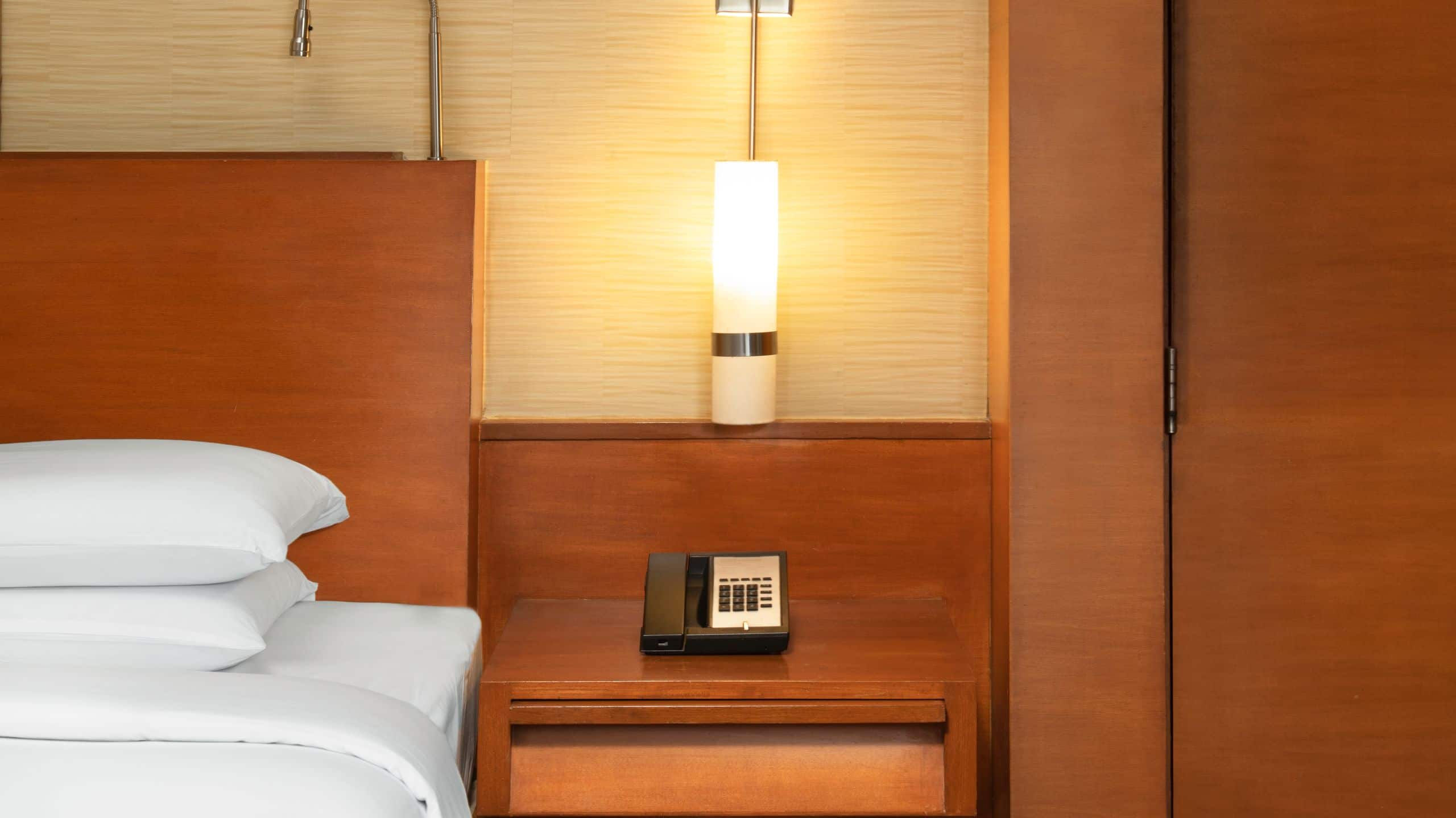 第 3，共 5 Hyatt Pune Hyatt Deluxe