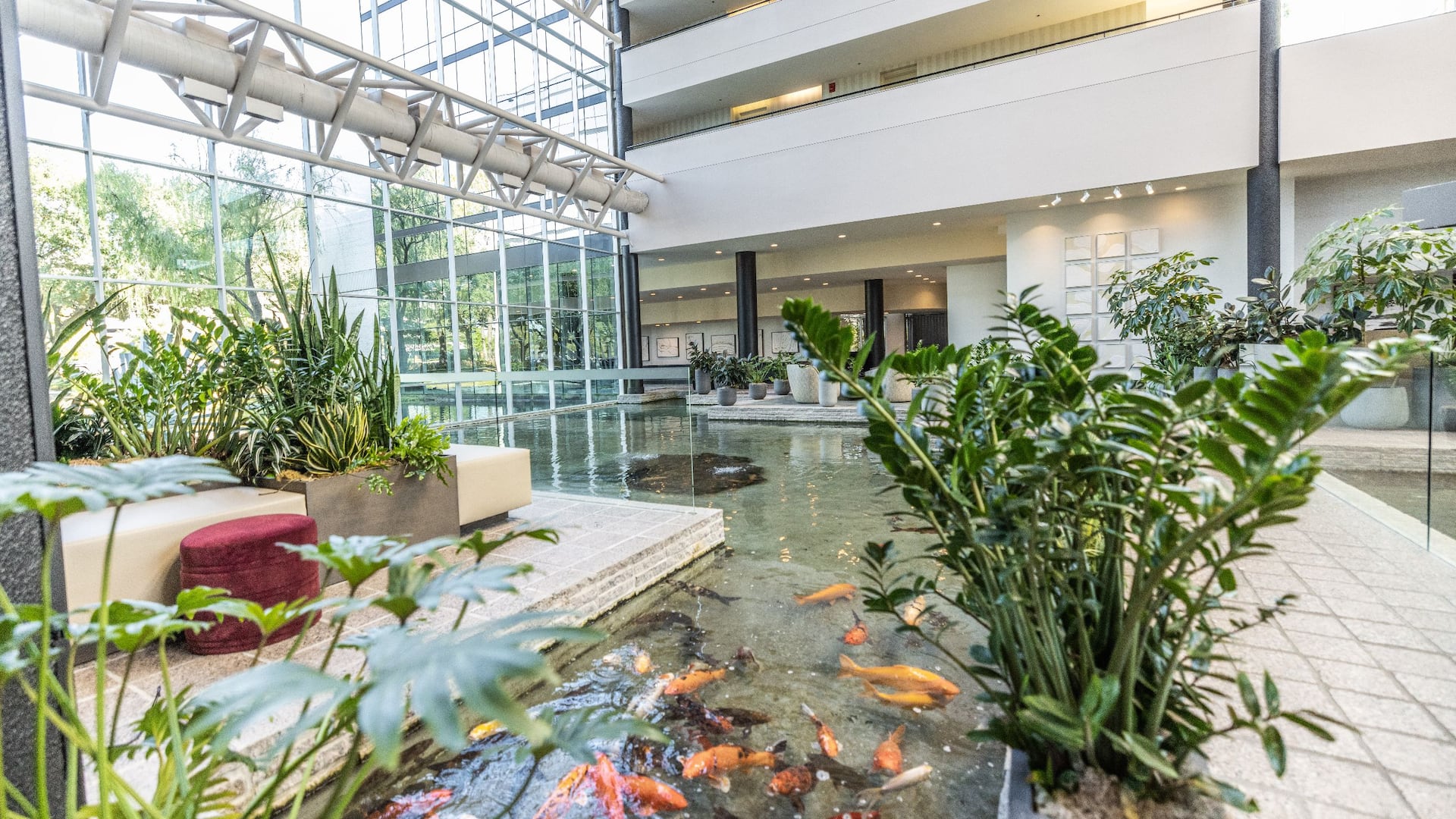 Hyatt Regency Houston West Lobby Koi Pond Seating