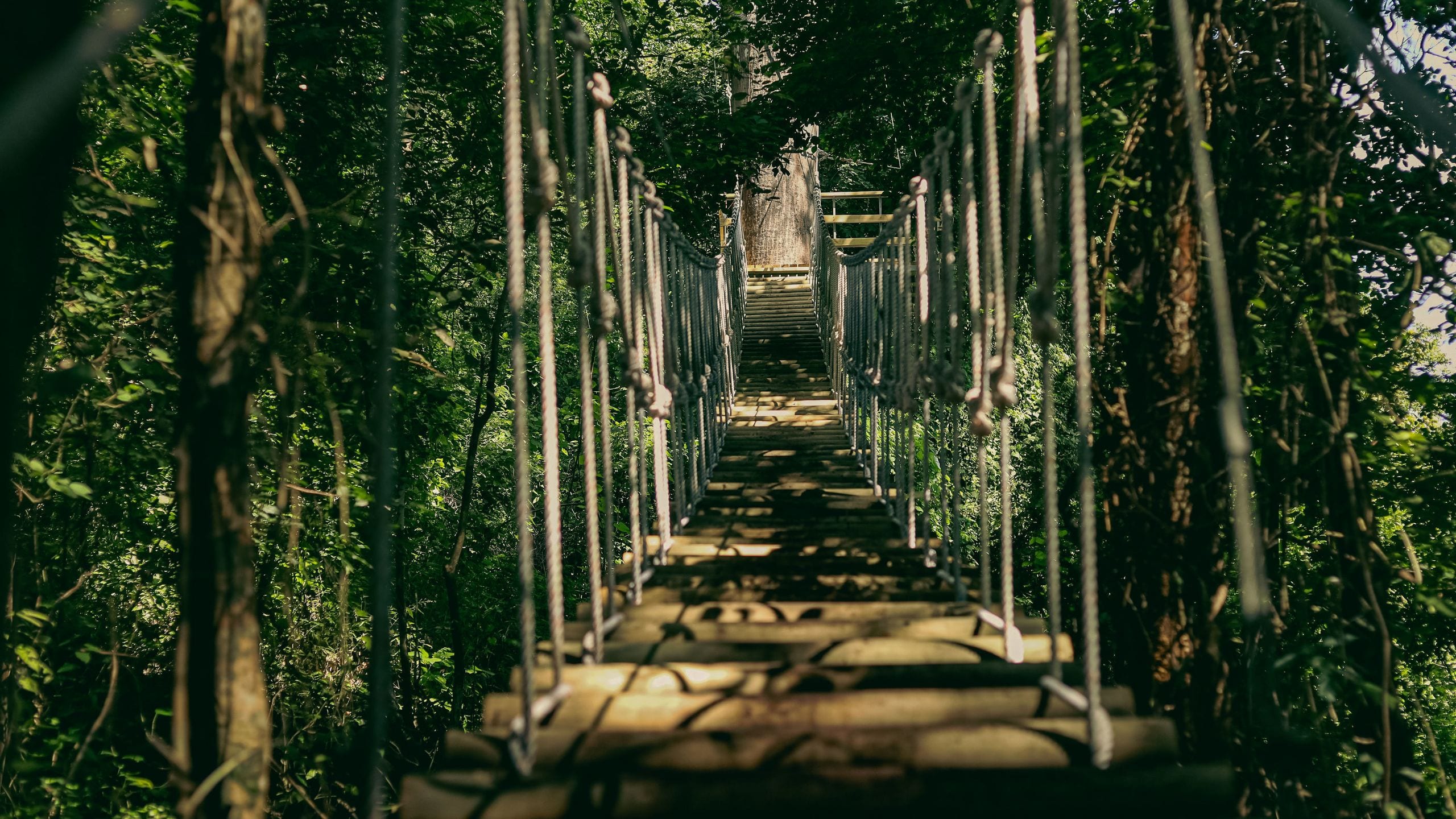 Andaz Costa Rica Resort at Peninsula Papagayo Outpost Walkway