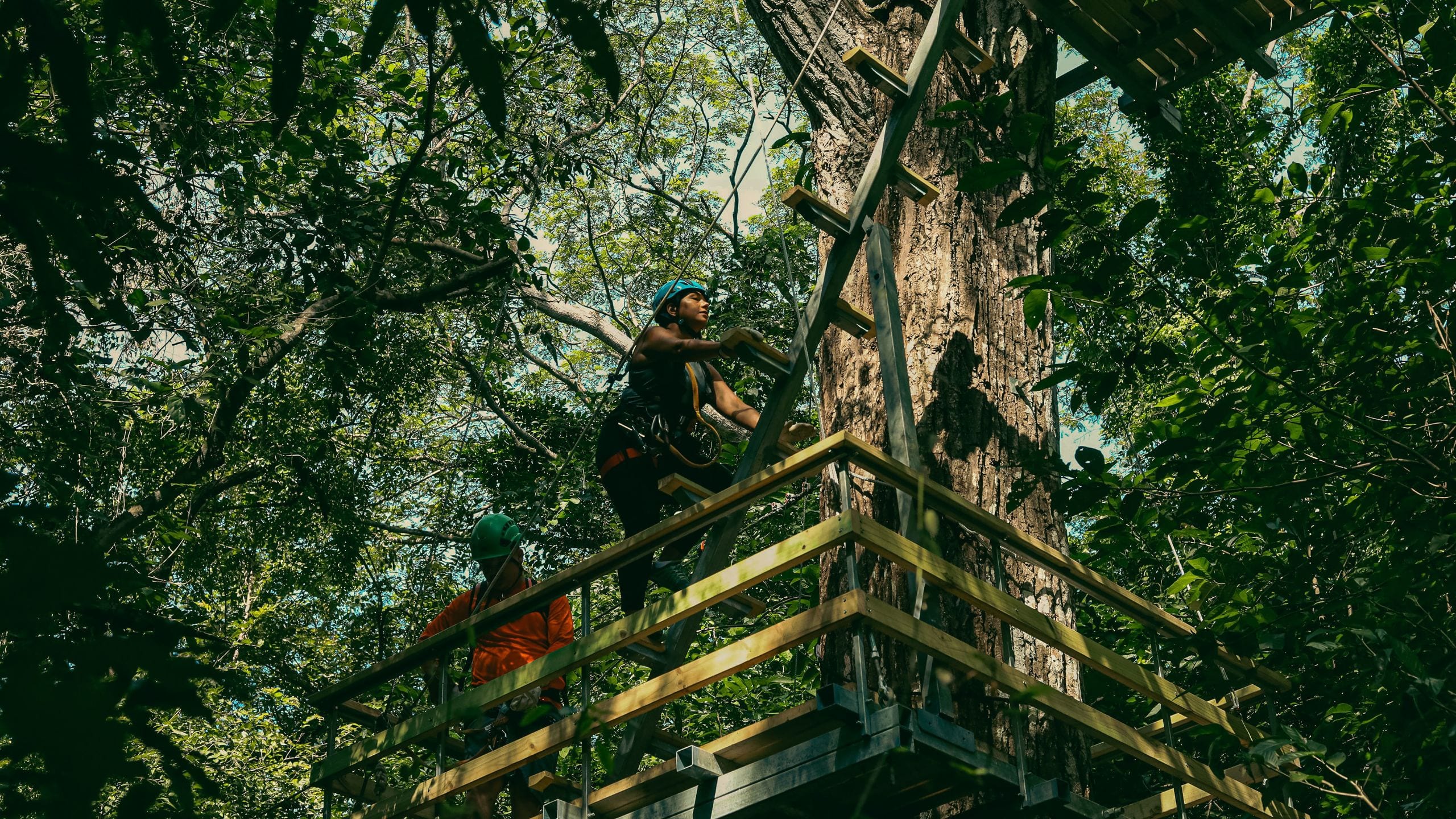 Andaz Costa Rica Resort at Peninsula Papagayo Outpost Climbing