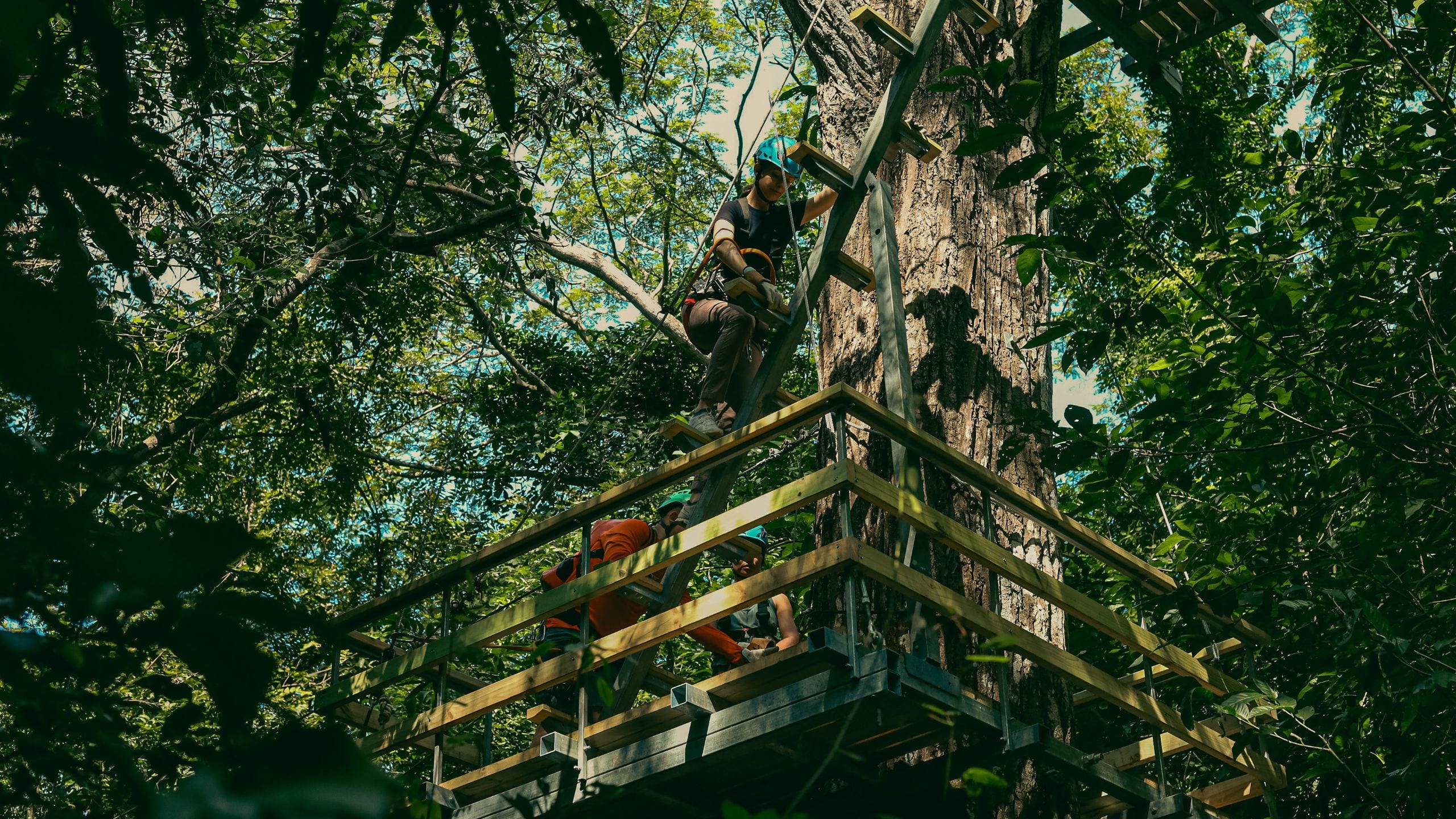 Andaz Costa Rica Resort at Peninsula Papagayo Outpost Climbing