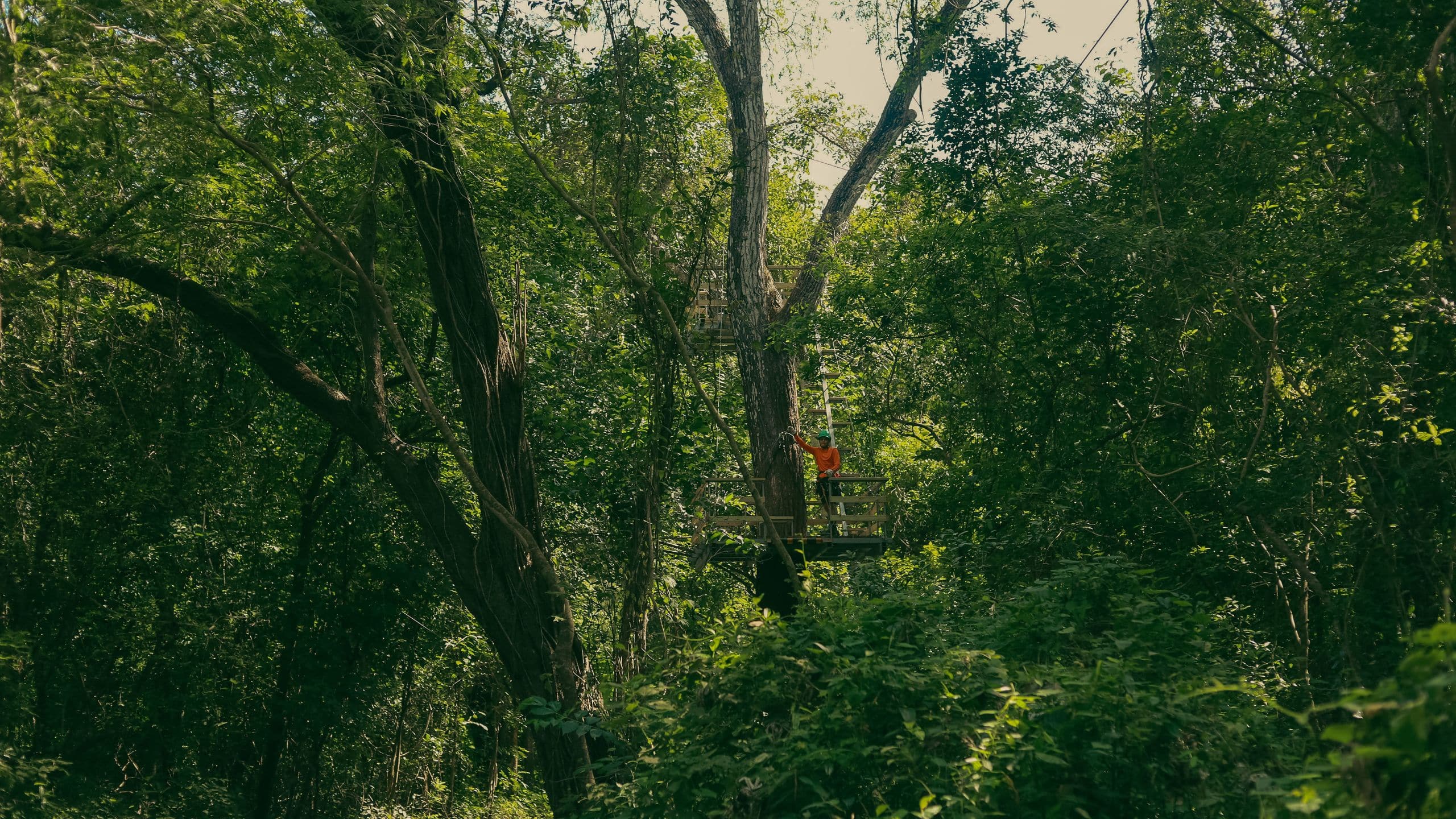 Andaz Costa Rica Resort at Peninsula Papagayo Outpost
