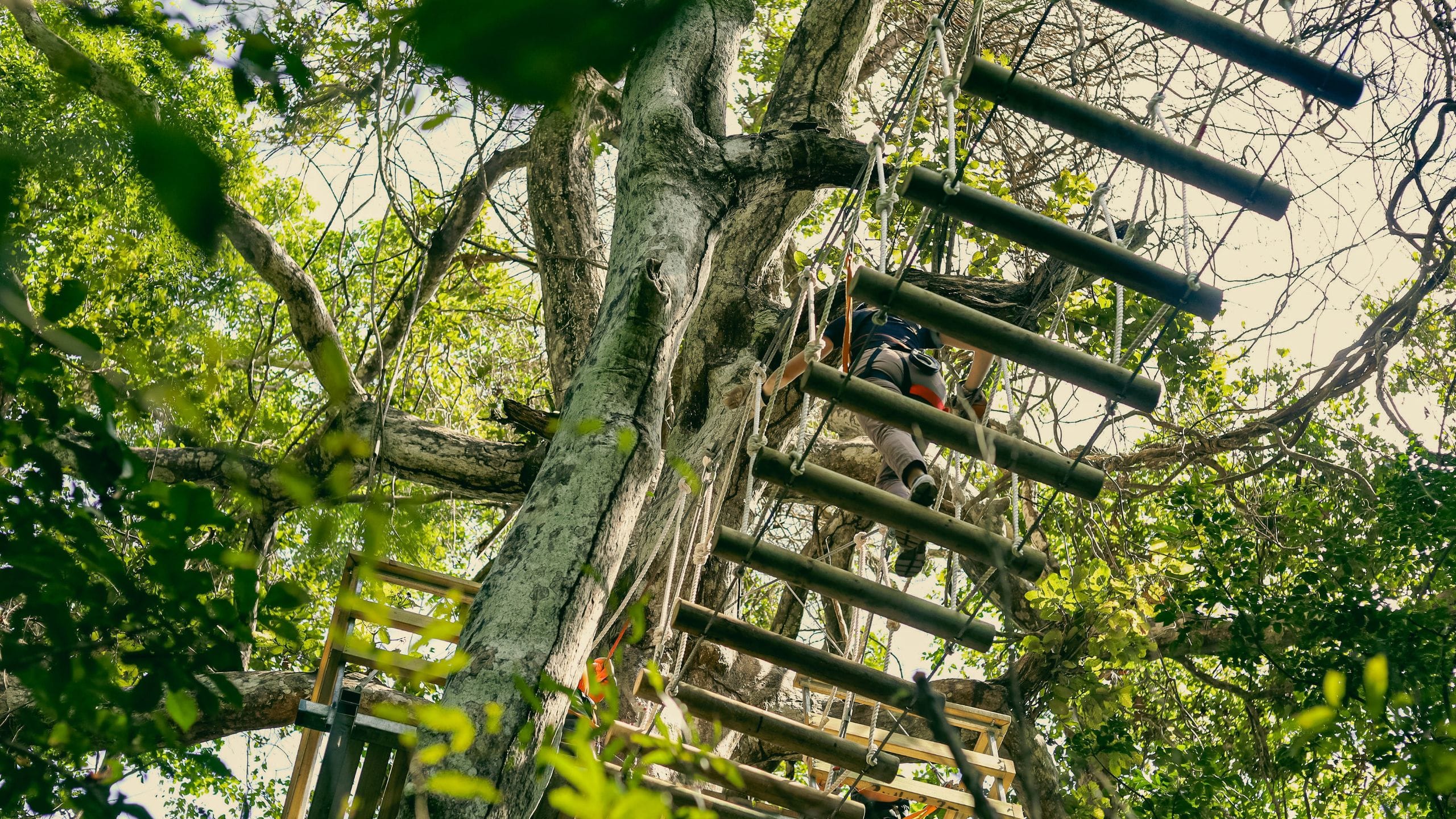 Andaz Costa Rica Resort at Peninsula Papagayo Outpost Bridge Walk