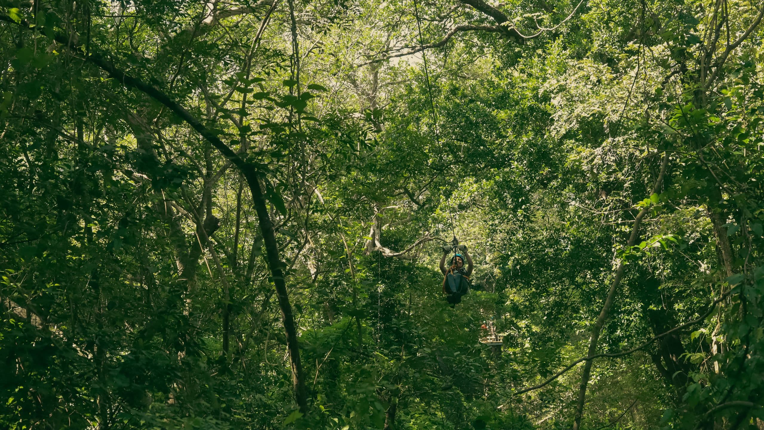 Andaz Costa Rica Resort at Peninsula Papagayo Outpost Zipline View