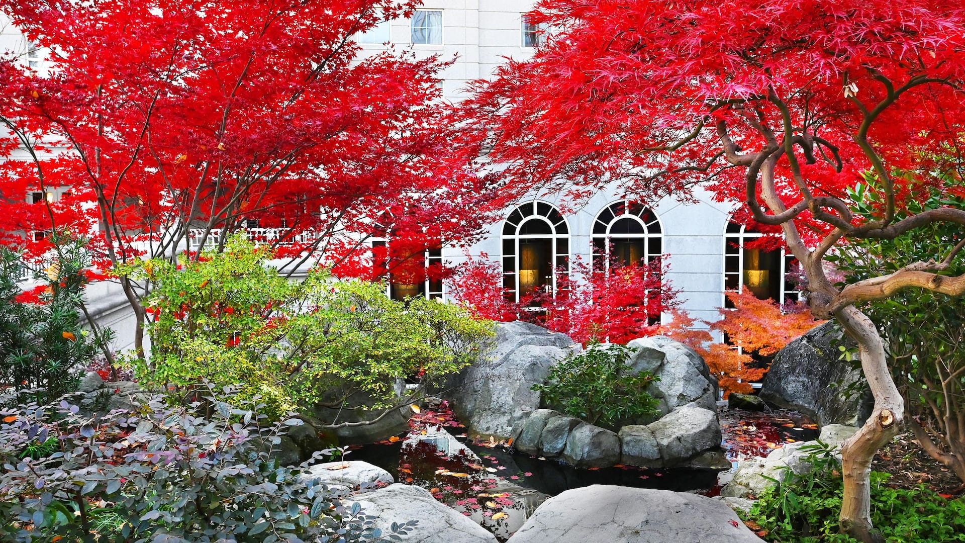 Grand Hyatt Atlanta in Buckhead Japanese Garden Autumn