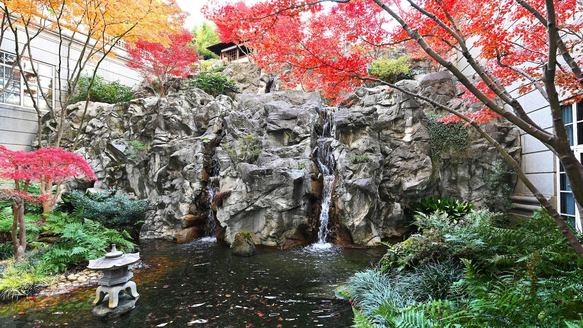 Grand Hyatt Atlanta in Buckhead Japanese Garden Waterfall