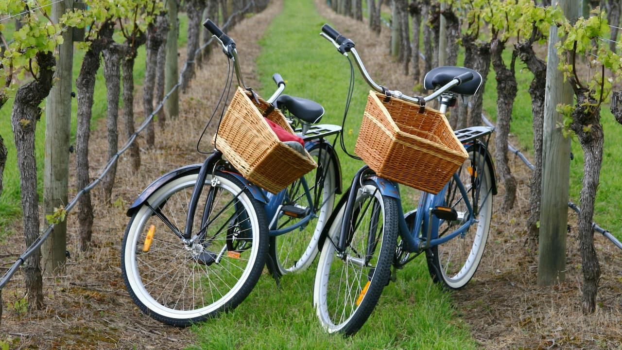  Bicycles In The Vineyard