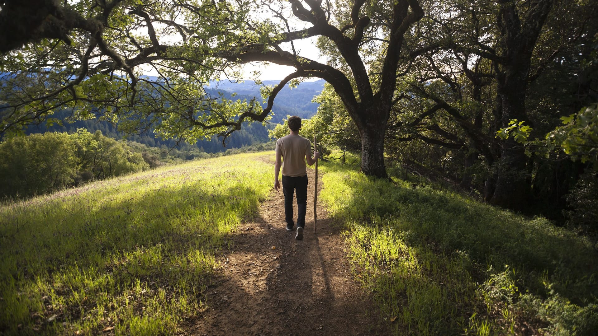 Hyatt Regency Sonoma Wine Country Man On Walking Trail