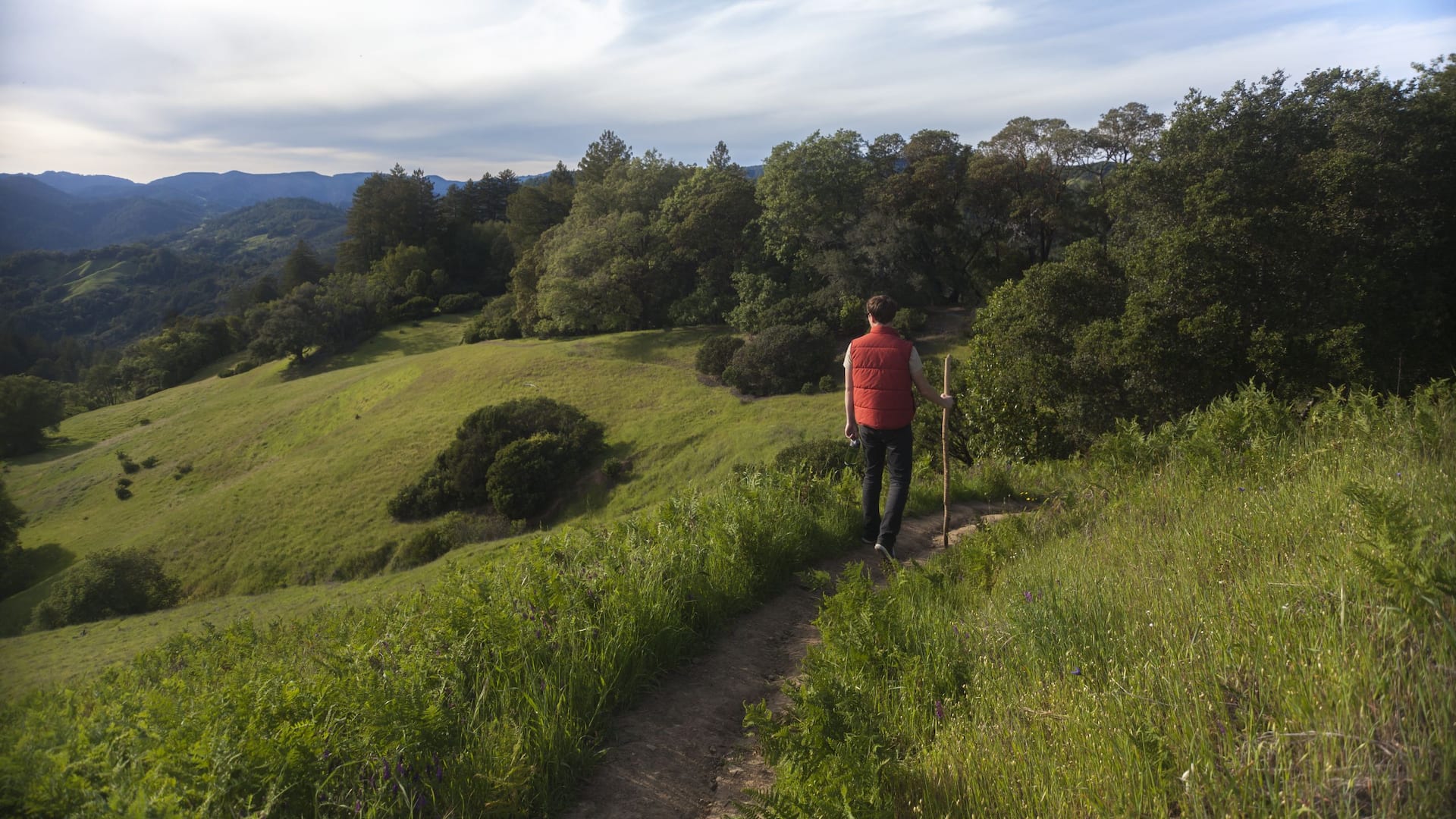 Hyatt Regency Sonoma Wine Country Man Hiking In Sonoma Hills