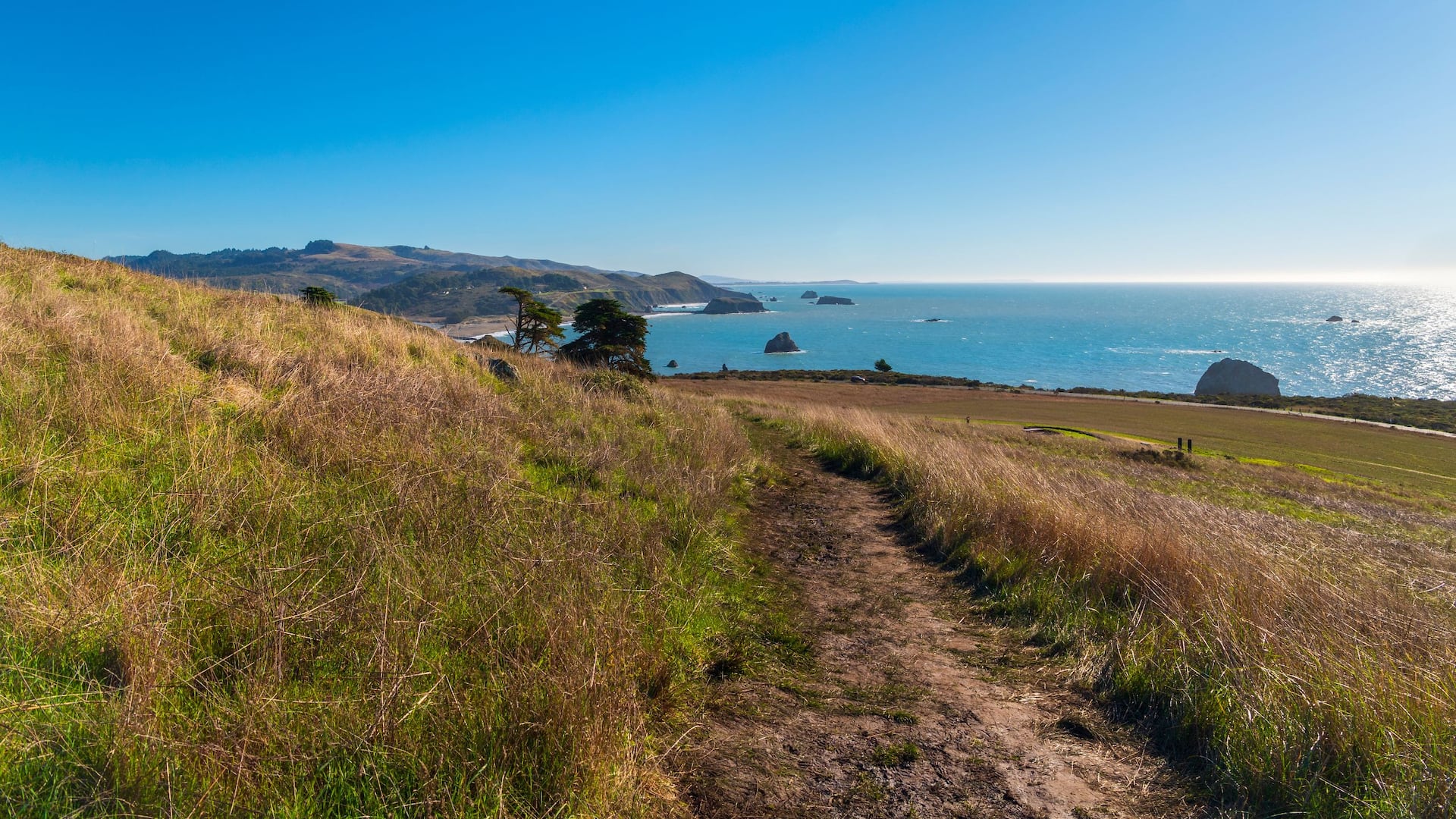Hyatt Regency Sonoma Wine Country Walking Trail View Of The Coast