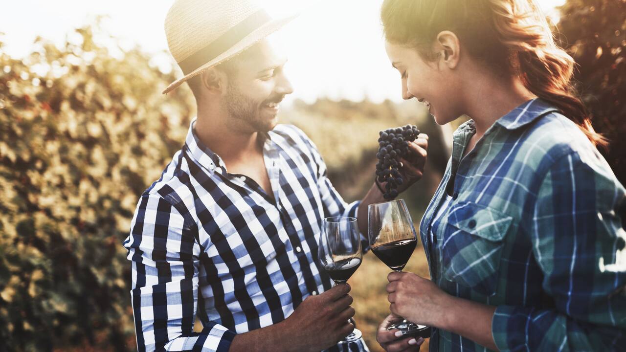 Couple Drinking Wine In Vineyard