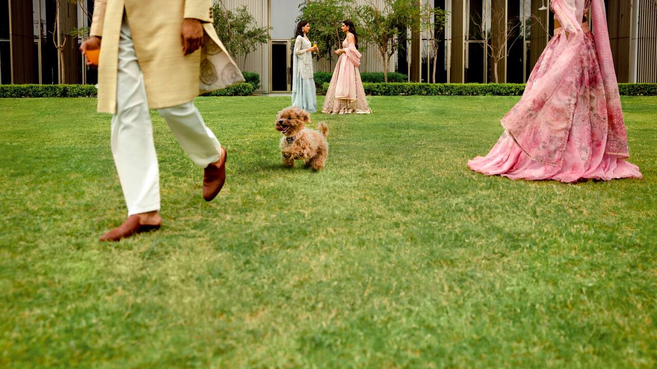 Pet Friendly Wedding Package