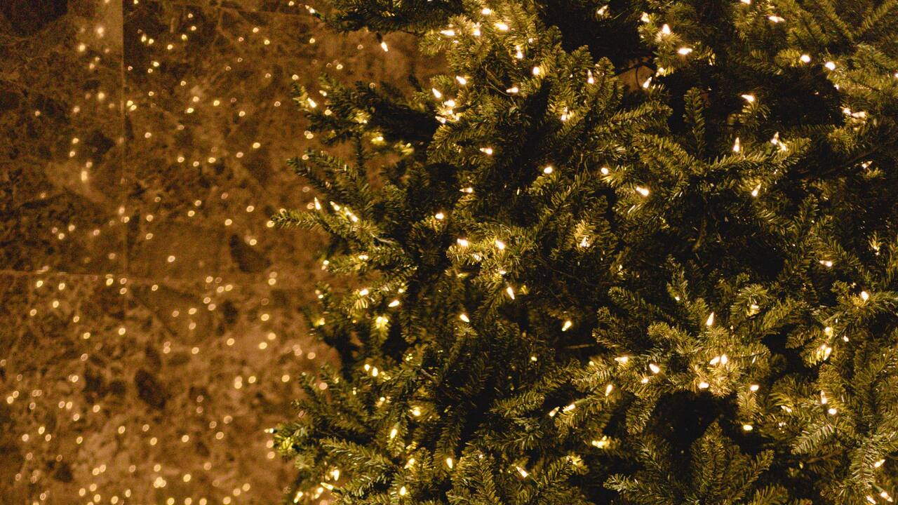 Christmas Tree Detail
