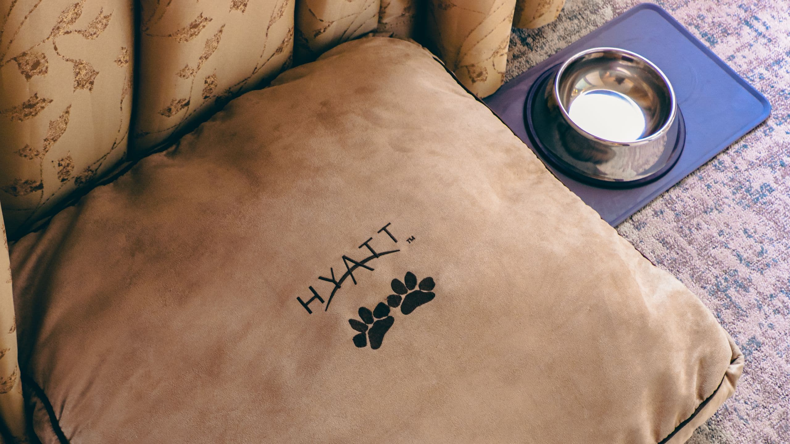 Hyatt at Olive 8 Guestroom Pet Bed