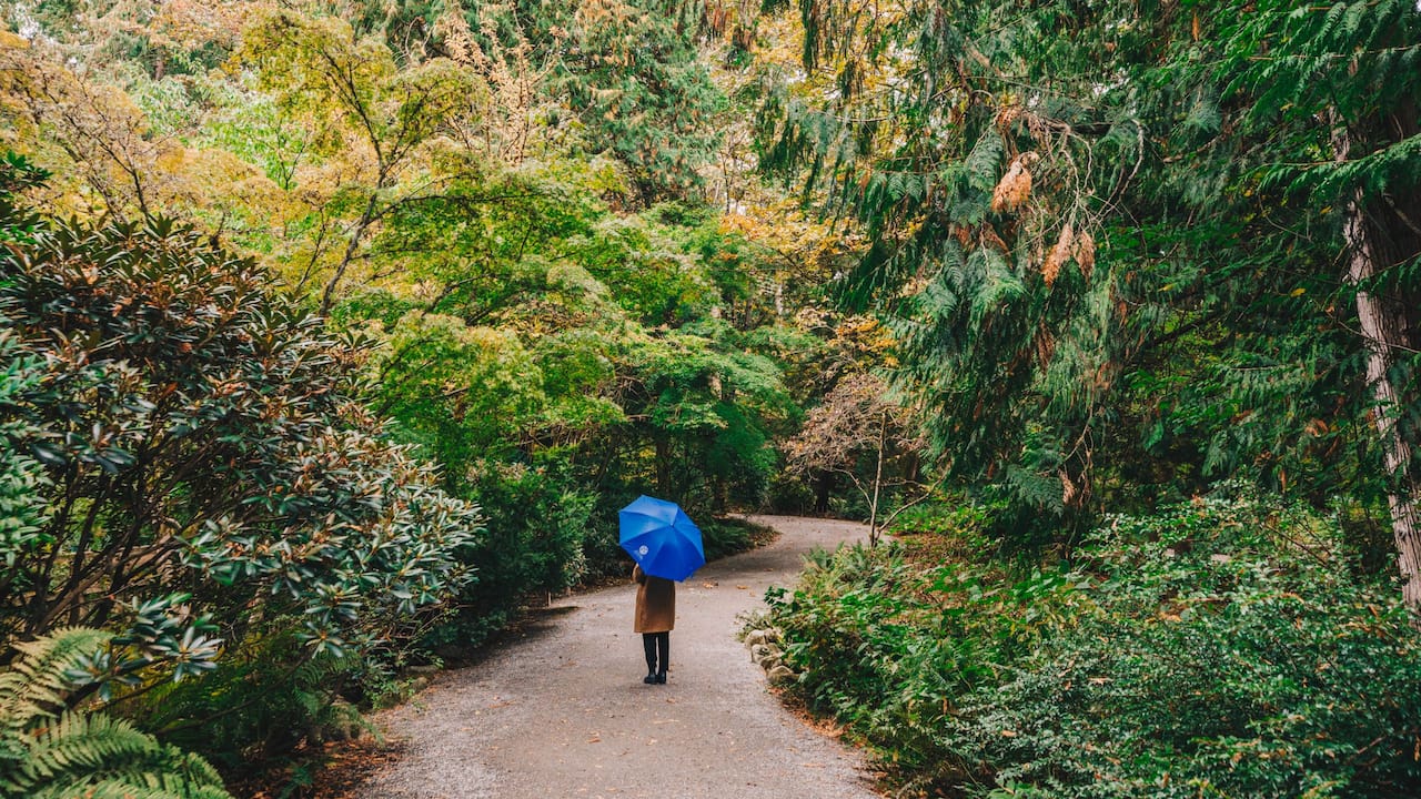 Botanical Garden Walk & Umbrella