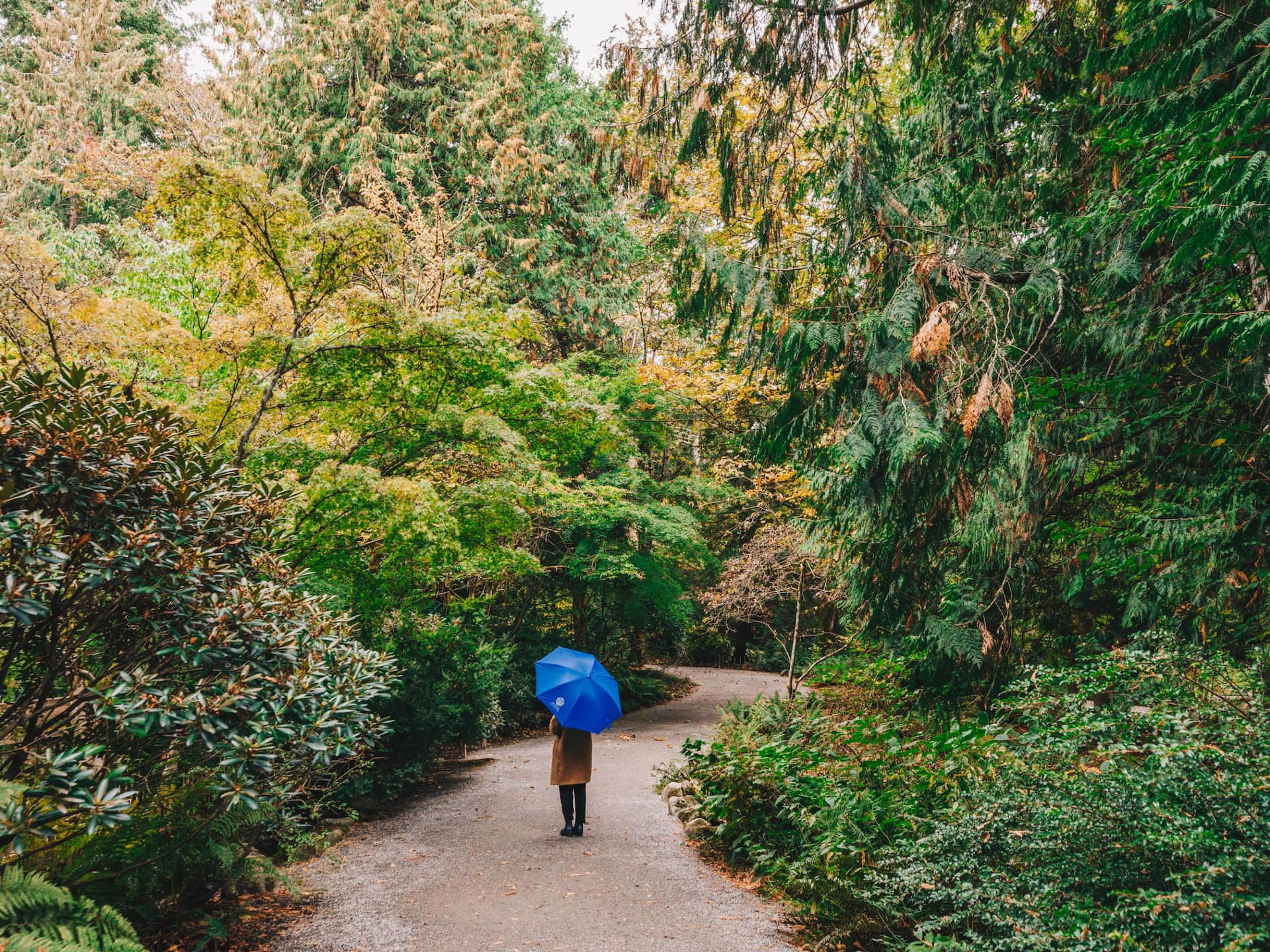 Hyatt Regency Bellevue on Seattle's Eastside Botanical Garden Walk Umbrella
