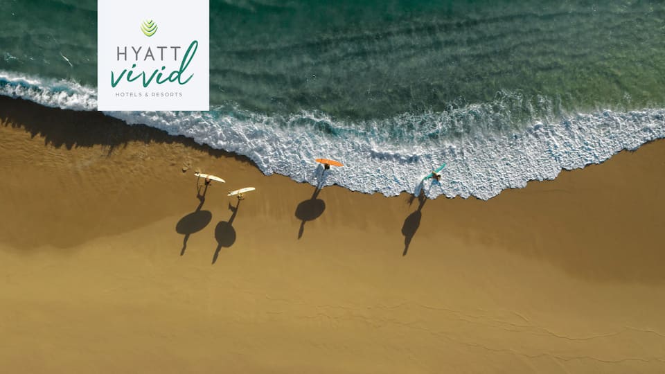 Aerial view of surfers