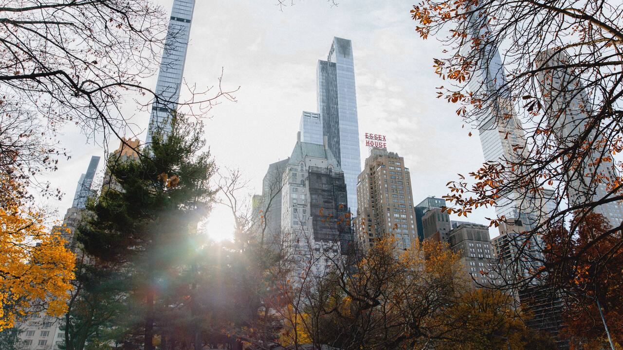 Central Park View Fall Sunrise