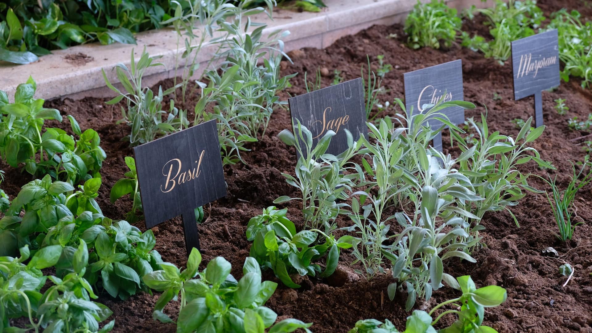 Herb Garden