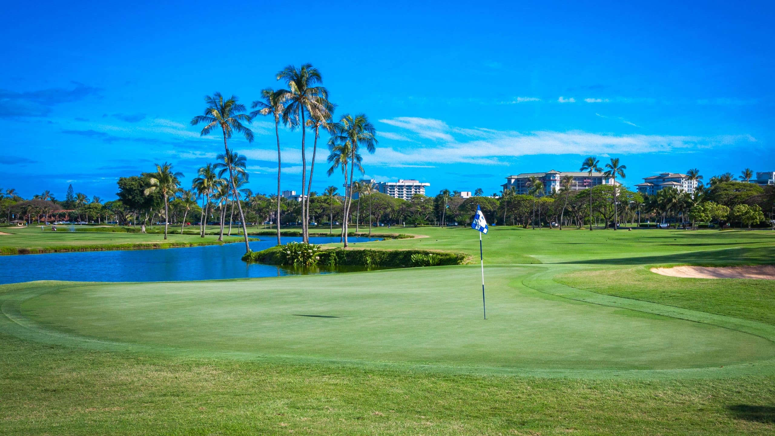 Hyatt Regency Maui Resort and Spa Kaanapali Golf Course Green