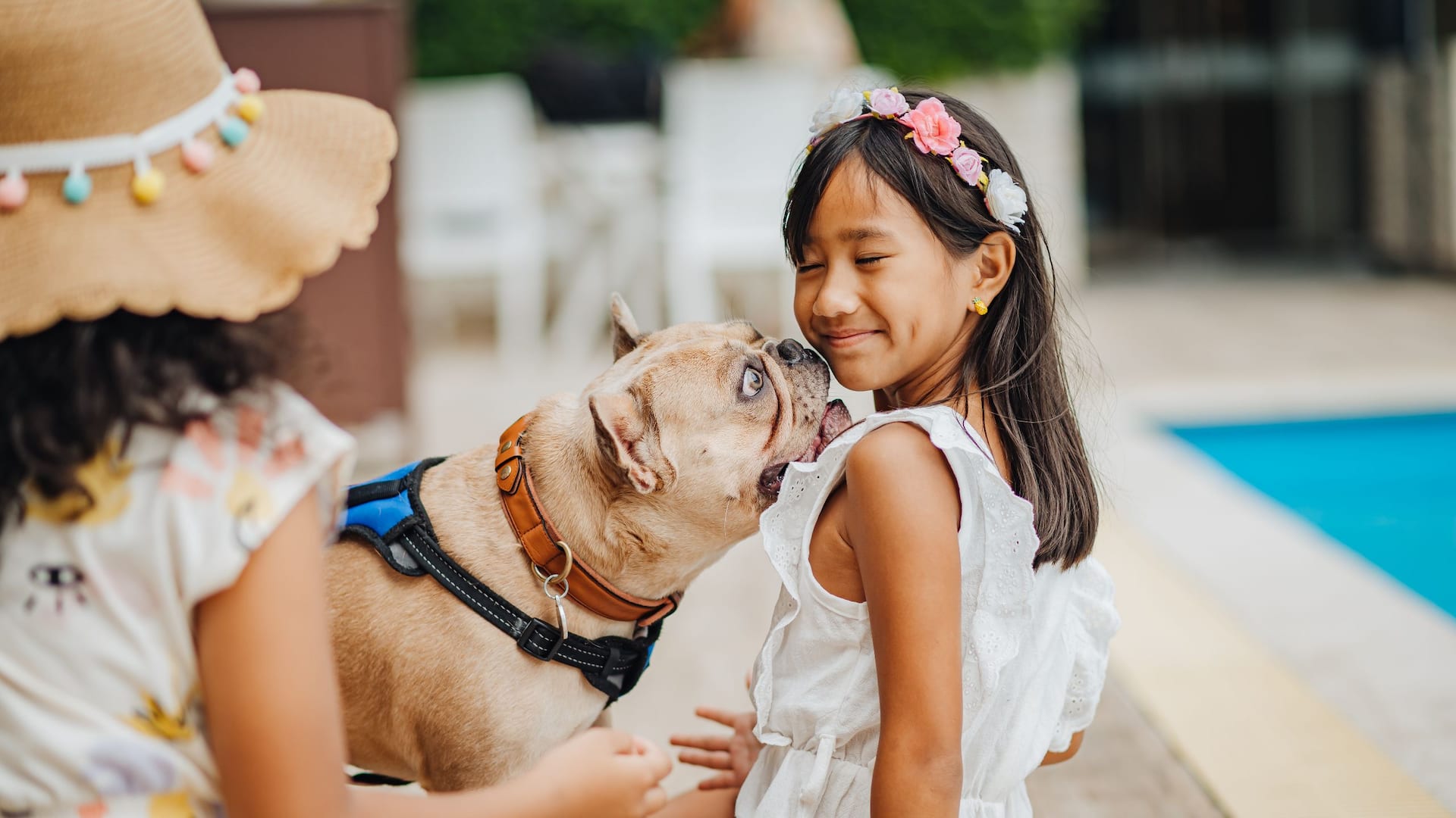 Hyatt Place Aruba Airport Child With Dog
