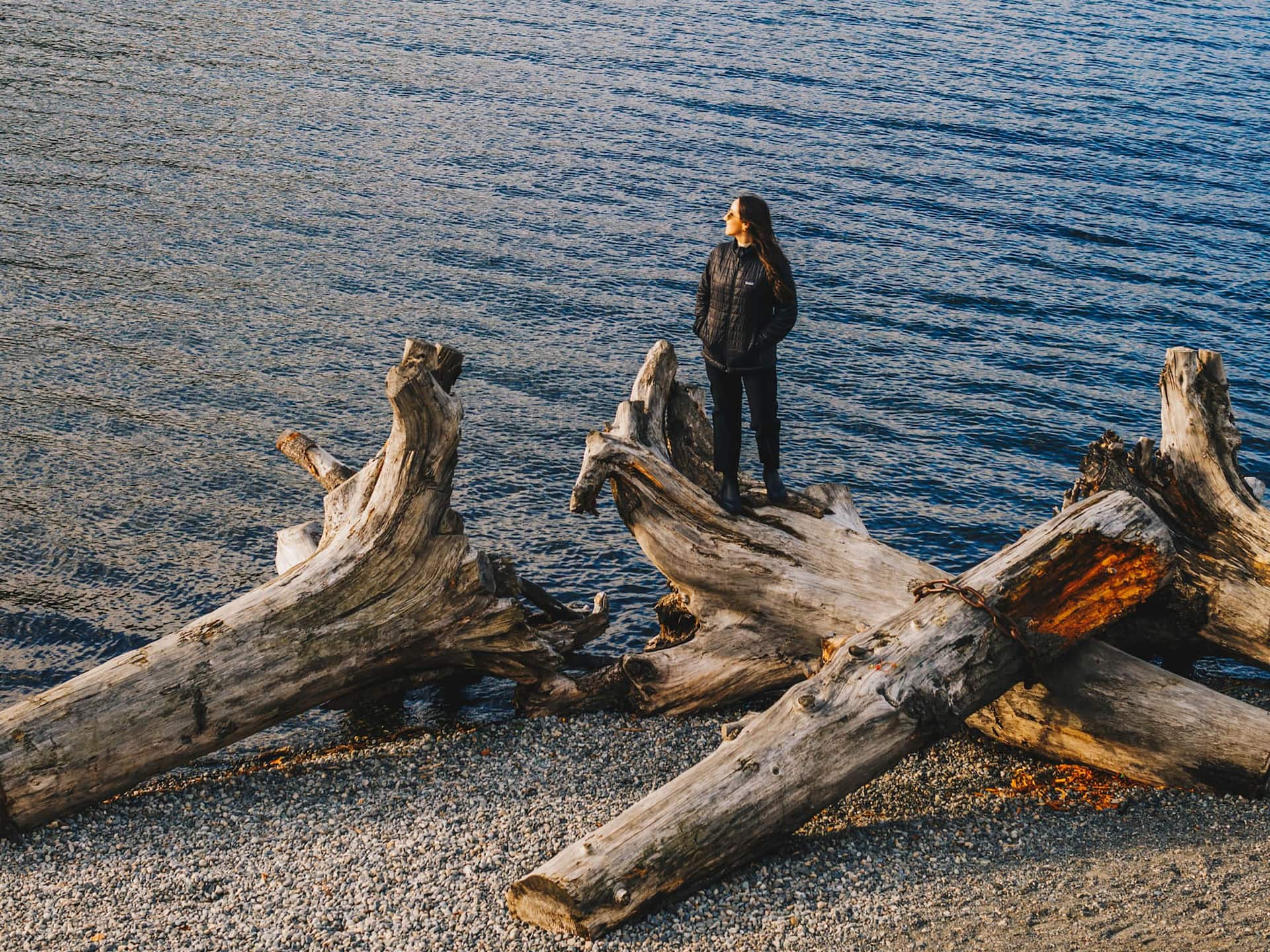 Hyatt Regency Bellevue on Seattle's Eastside Meydenbauer Bay And Lake Washington