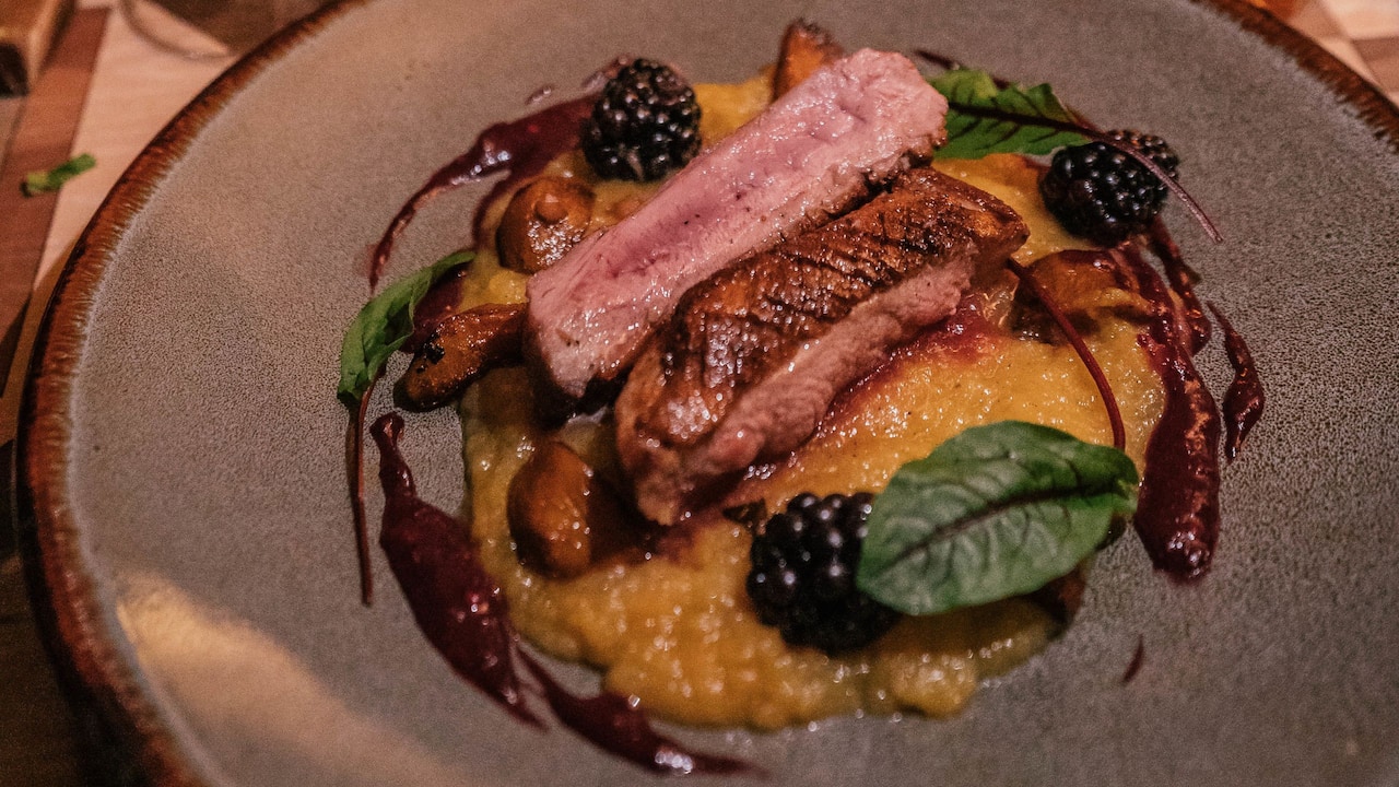 Seared Duck Gessner