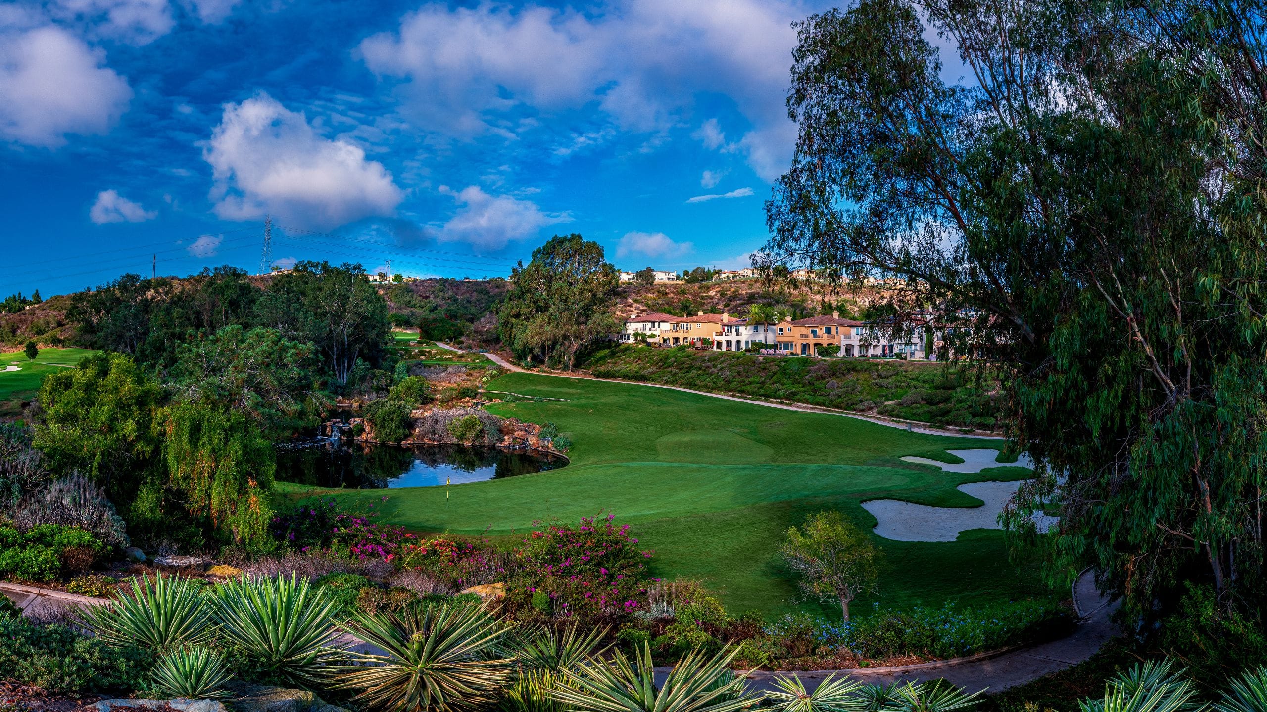 Park Hyatt Aviara Resort, Golf Club & Spa Golf Course Hole Fourteen