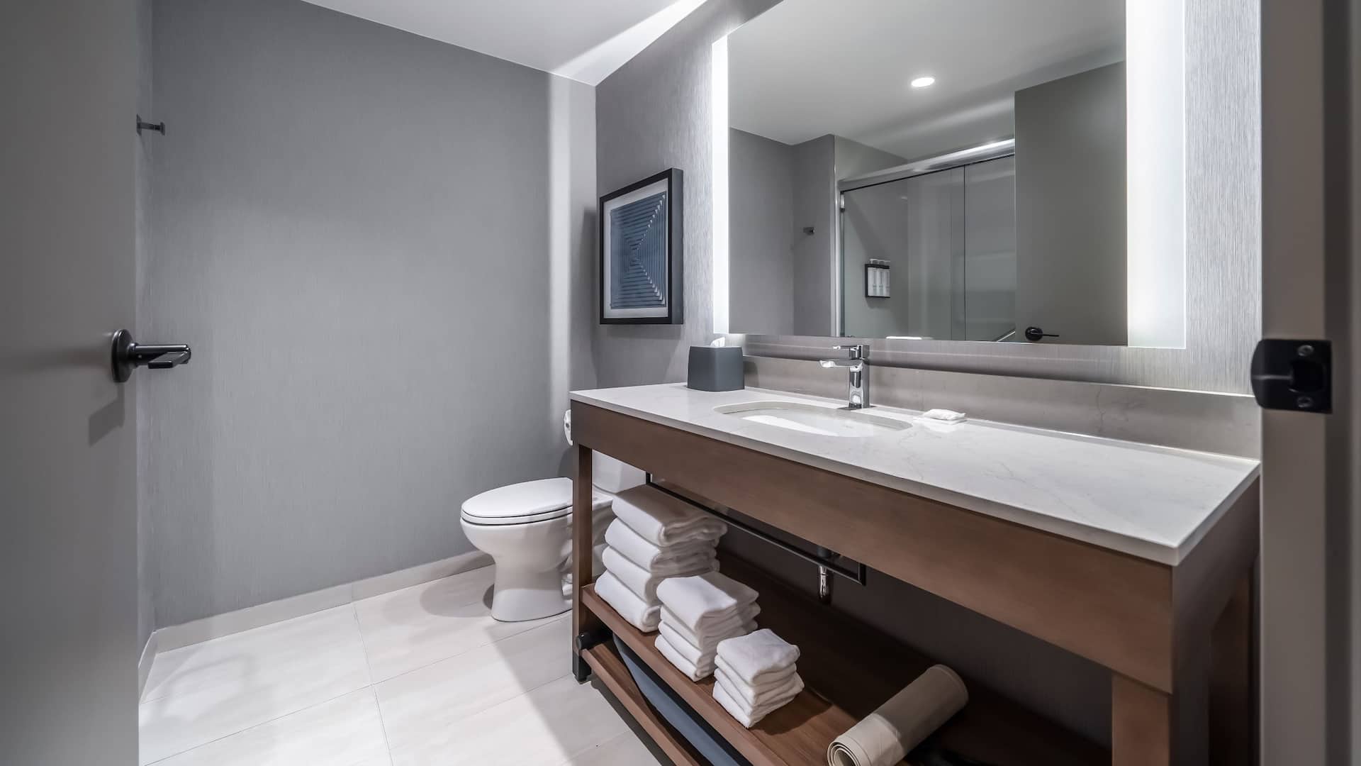 5 de 5 Hyatt Place Gainesville Downtown Accessible Shower Sink