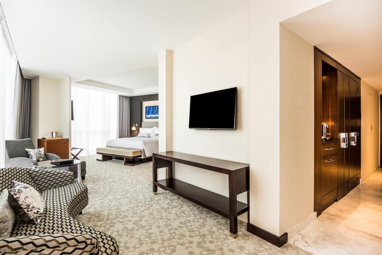 Deluxe Suite Couch
