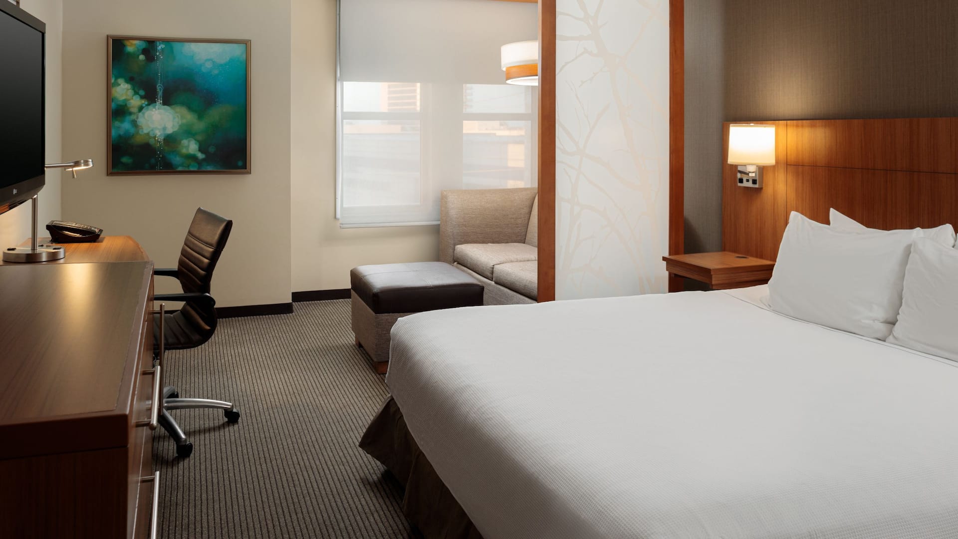Hyatt Place New Orleans/Convention Center Accessible King Bed Roll-In Shower