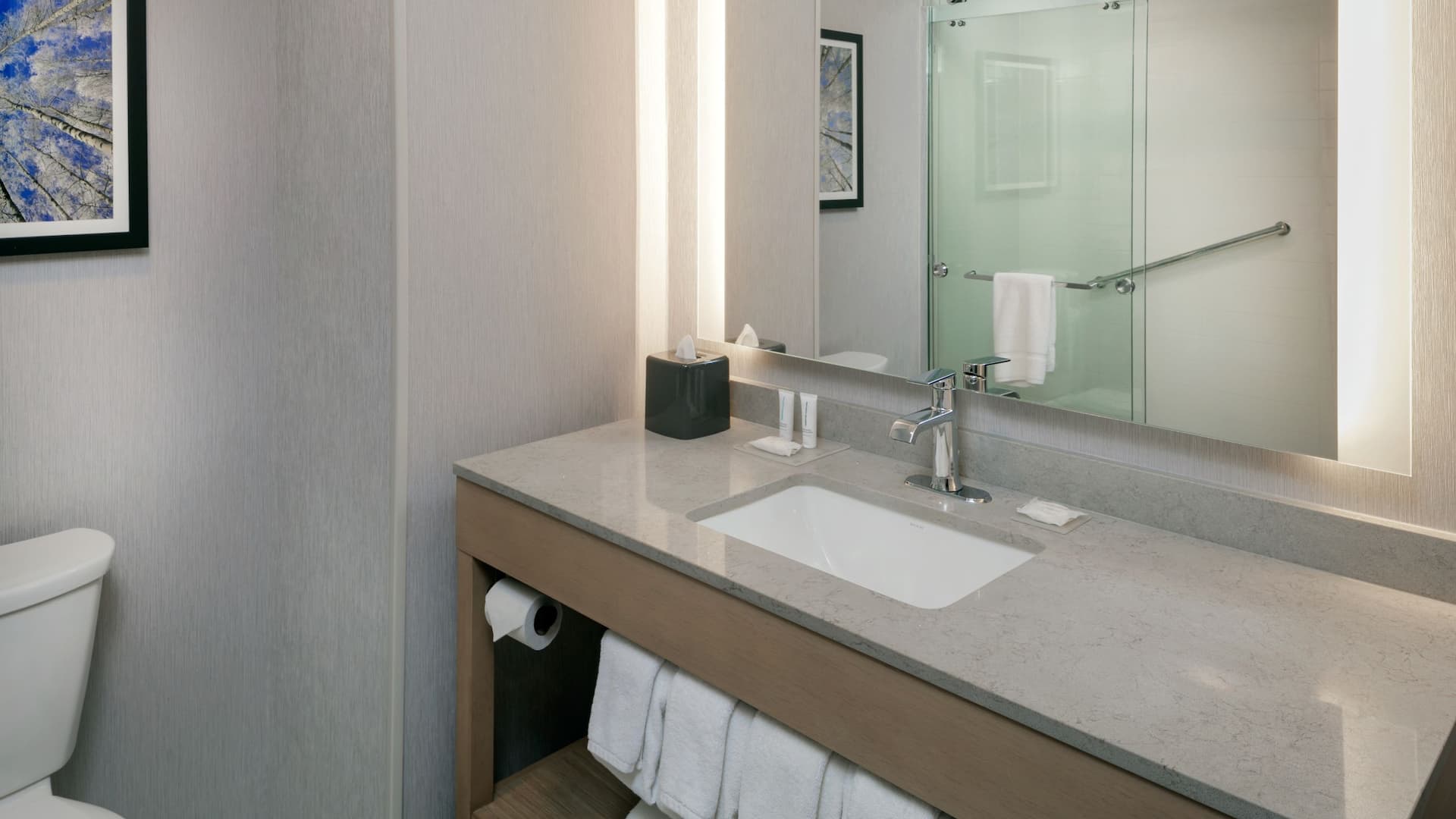3 von 4 Hyatt Place Fairbanks Bathroom Vanity Shower