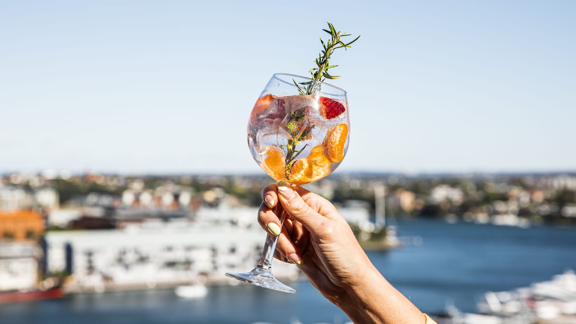 Hyatt Regency Sydney Zephyr Bar Gin And Tonic View