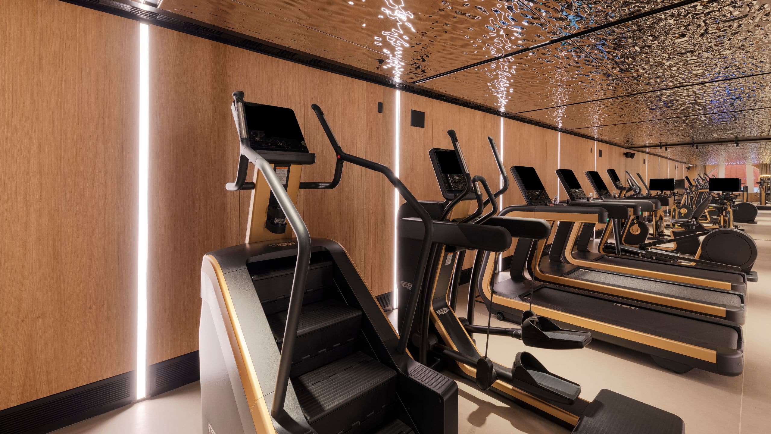 Park Hyatt Istanbul - Macka Palas Gym Treadmills
