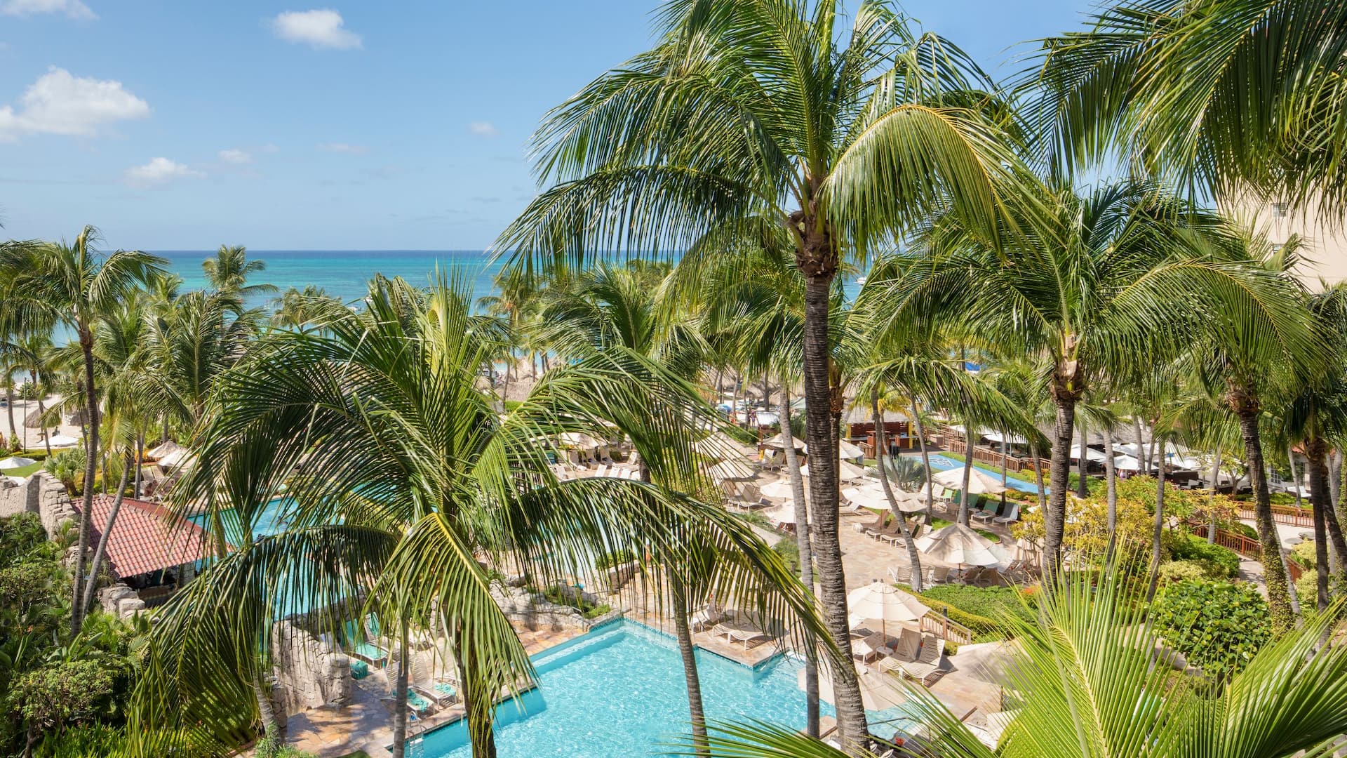 5/5 Hyatt Regency Aruba Resort Spa and Casino Cayena Suite View